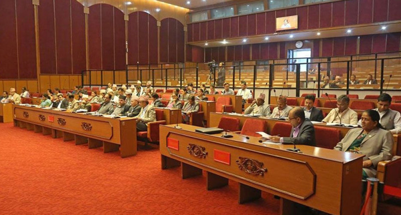 आर्थिक कार्यविधि तथा वित्तीय उत्तरदायित्व अध्यादेश बहुमतले पारित