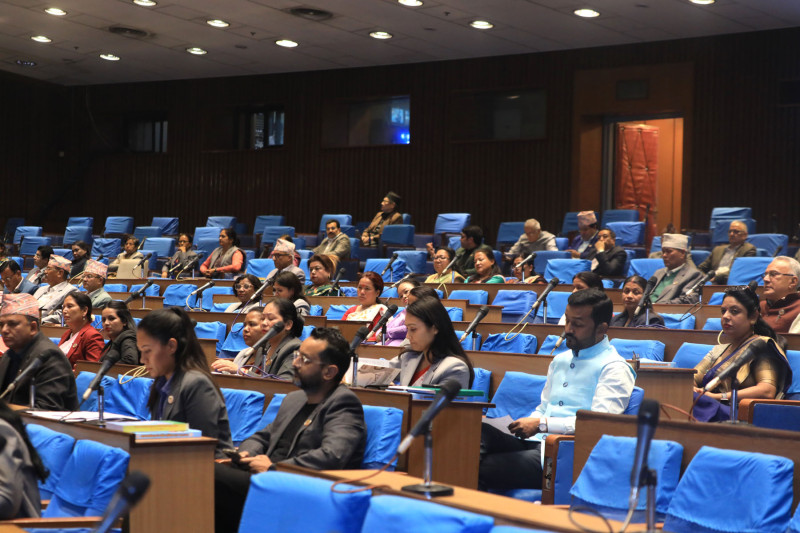 आर्थिक विकासलाई केन्द्रमा राखेर बजेट ल्याउन सांसदहरूको ध्यानाकर्षण