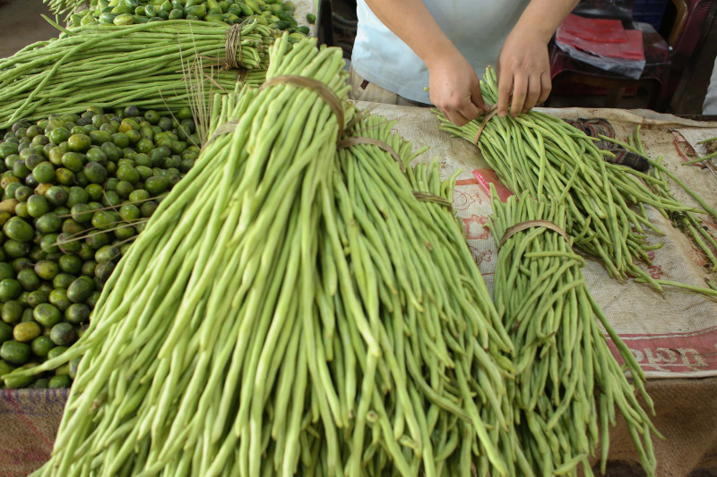 सडक पिच हुन थालेपछि किसानलाई राहत, कृषि उत्पादन बजारसम्म लैजान सहज