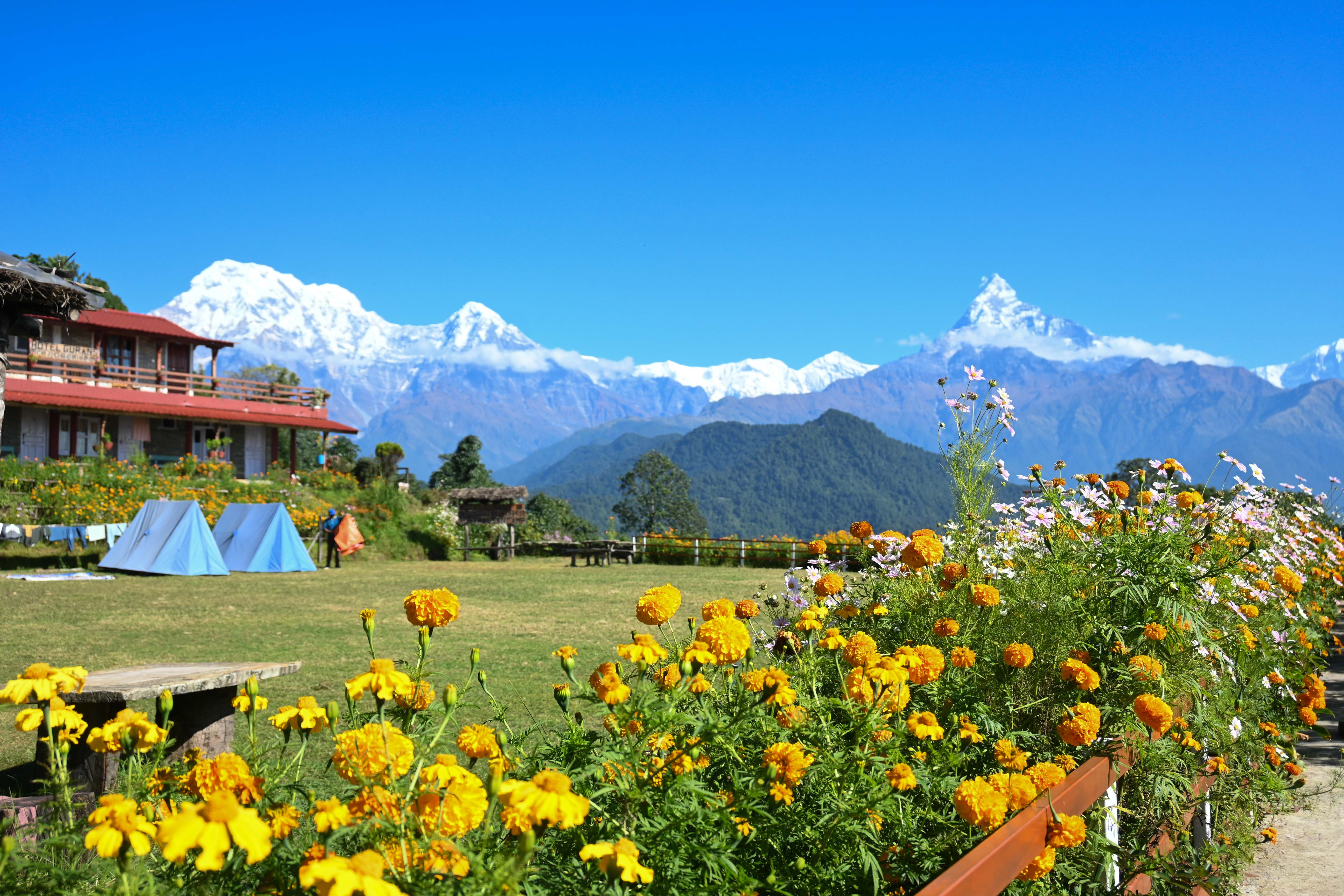 Australian-Base-Camp_-(18)-1760678261.jpg