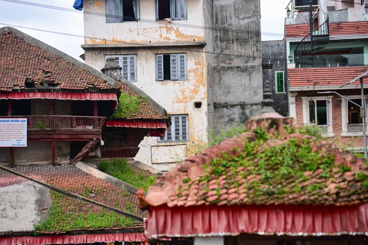 Basantapur-ma-Grass_NPL-(14)-1755493257.jpeg