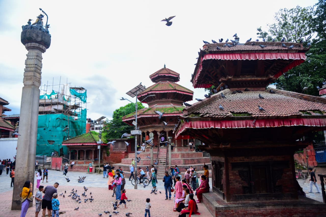 Basantapur-ma-Grass_NPL-(19)-1755493262.jpeg