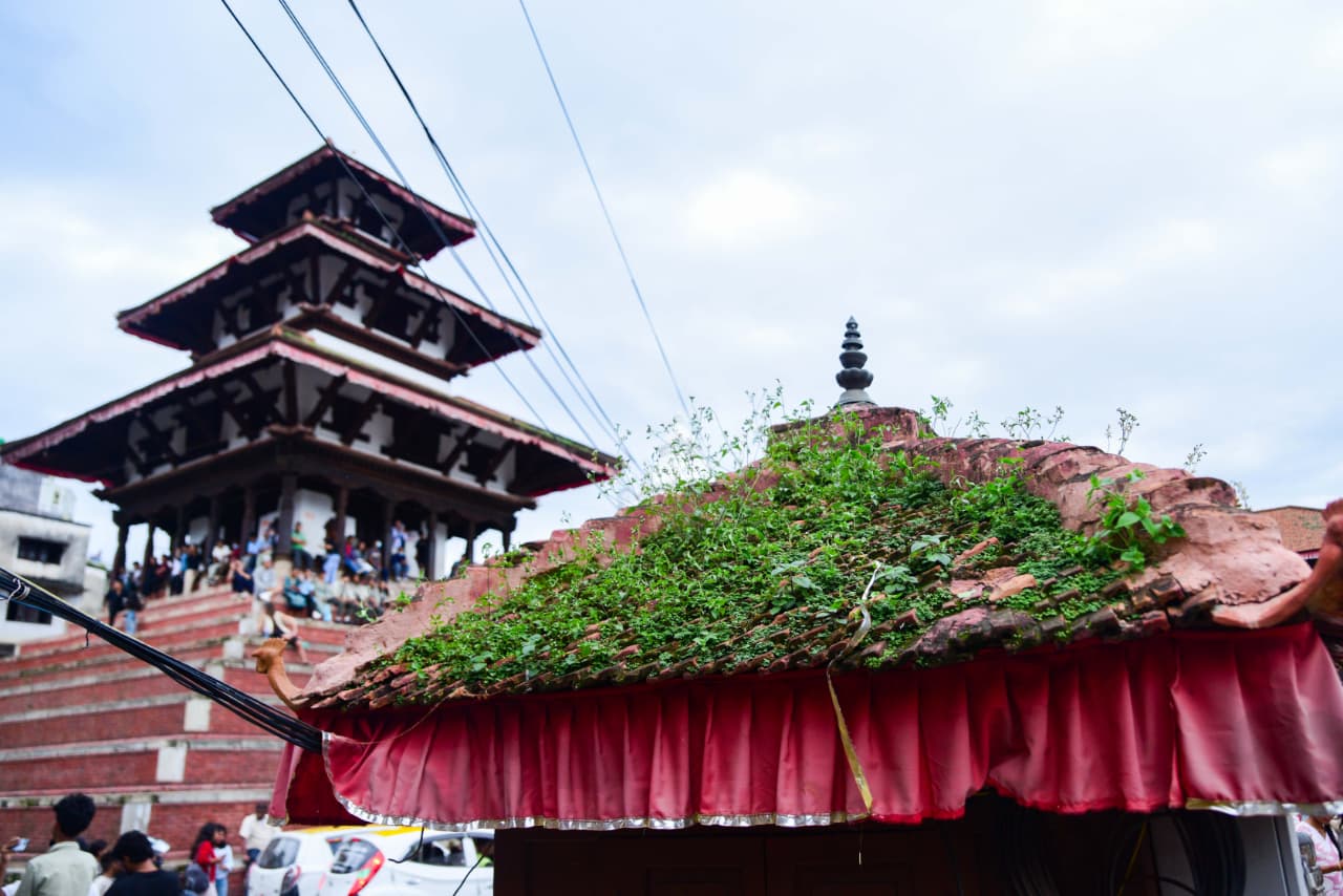 Basantapur-ma-Grass_NPL-(2)-1755493247.jpeg