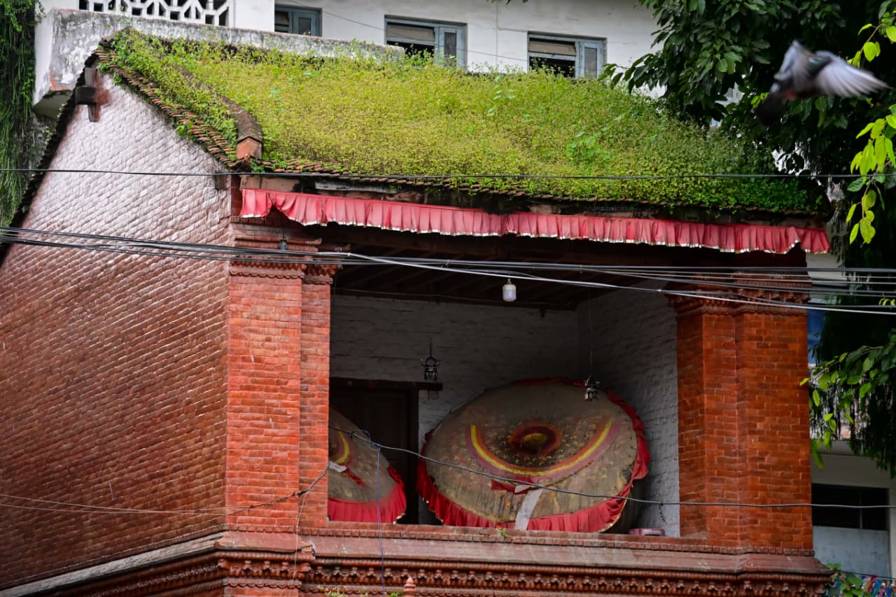 Basantapur-ma-Grass_NPL-(21)-(1)-1755493270.jpeg