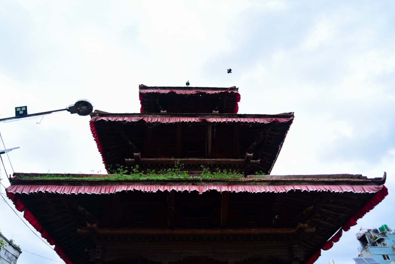 Basantapur-ma-Grass_NPL-(24)-1755493278.jpeg
