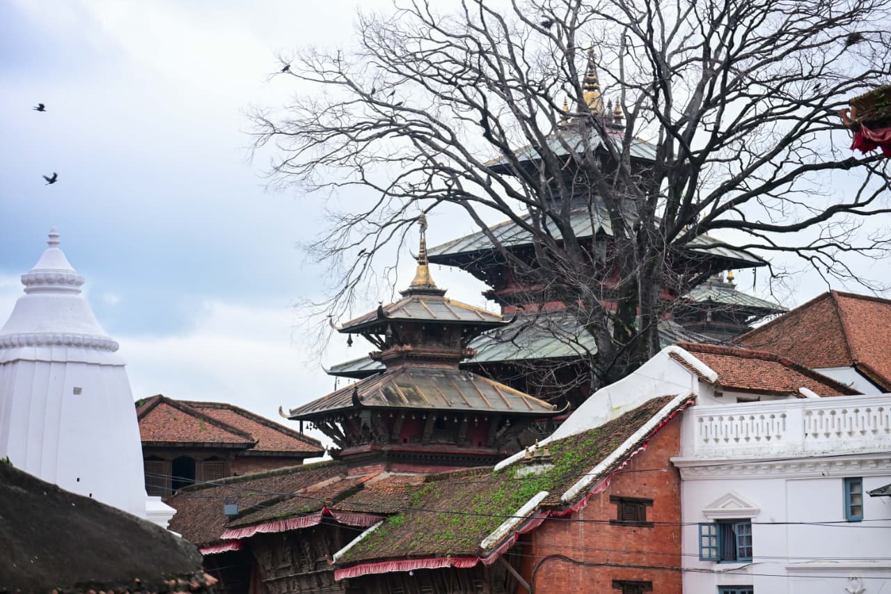 Basantapur-ma-Grass_NPL-(7)-1755493247.jpeg