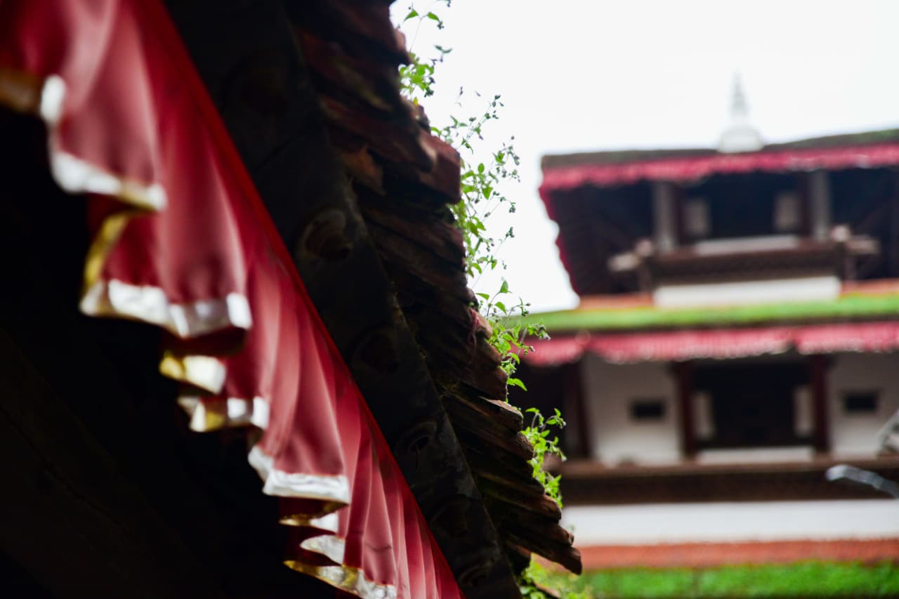 Basantapur-ma-Grass_NPL-(8)-1755493248.jpeg