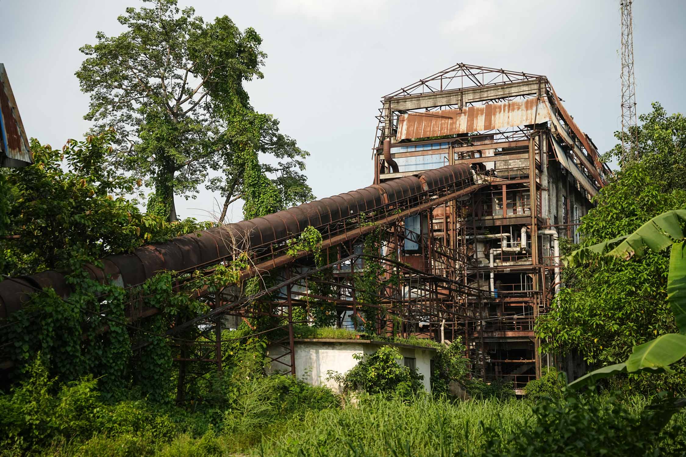 Bhrikuti-Paper-Factory,-Nawalparasi_NPL_15-1783745918.jpg