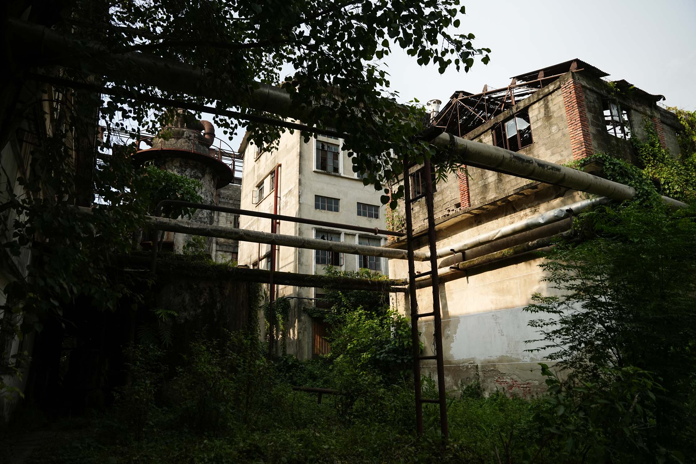 Bhrikuti-Paper-Factory,-Nawalparasi_NPL_9-1783745917.jpg