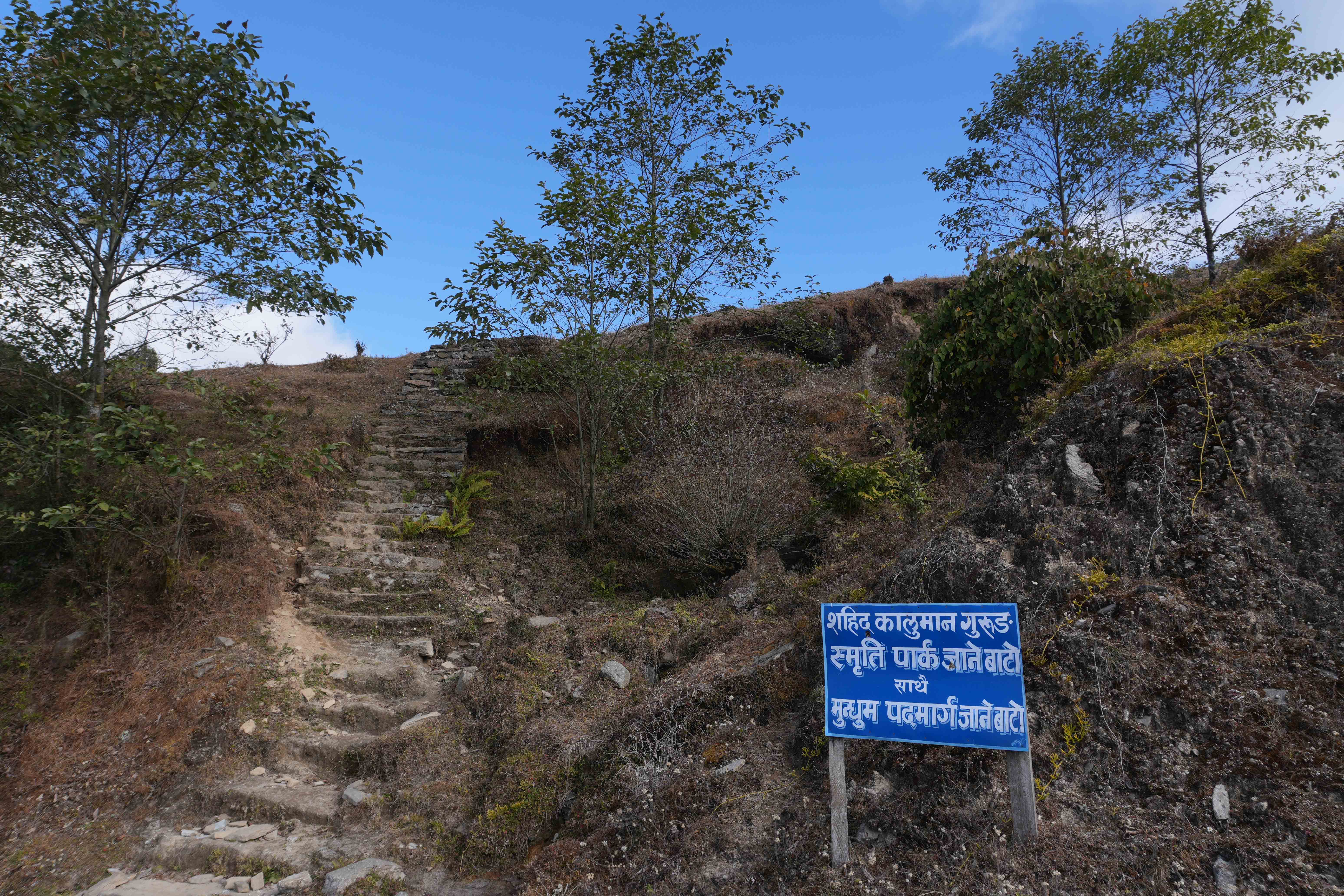 Chakhewa-Bhanjyang_-Bhojpur_DSC00427-1769233470.jpg