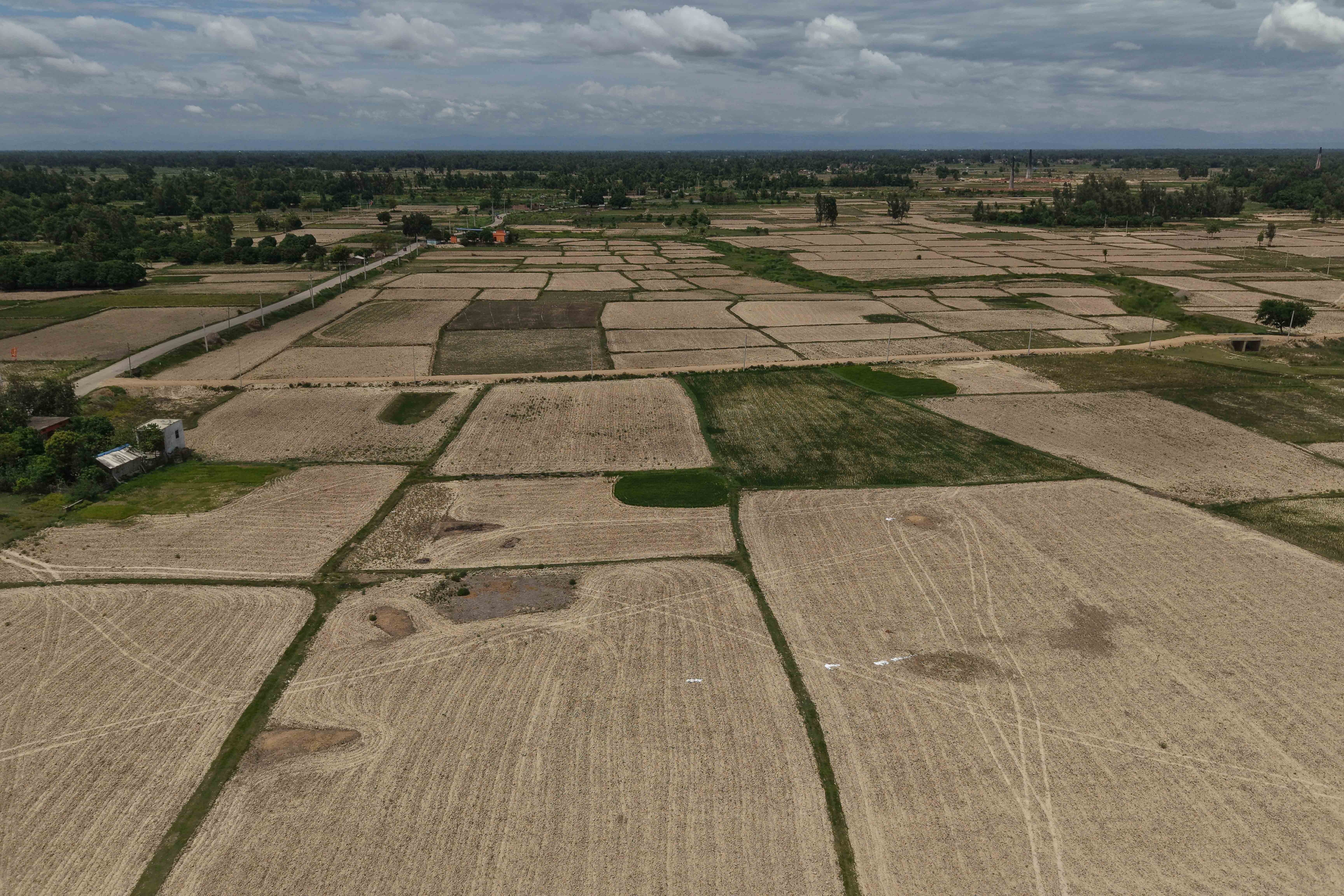 DJI_20250725131630_0812_D-1753587572.jpg