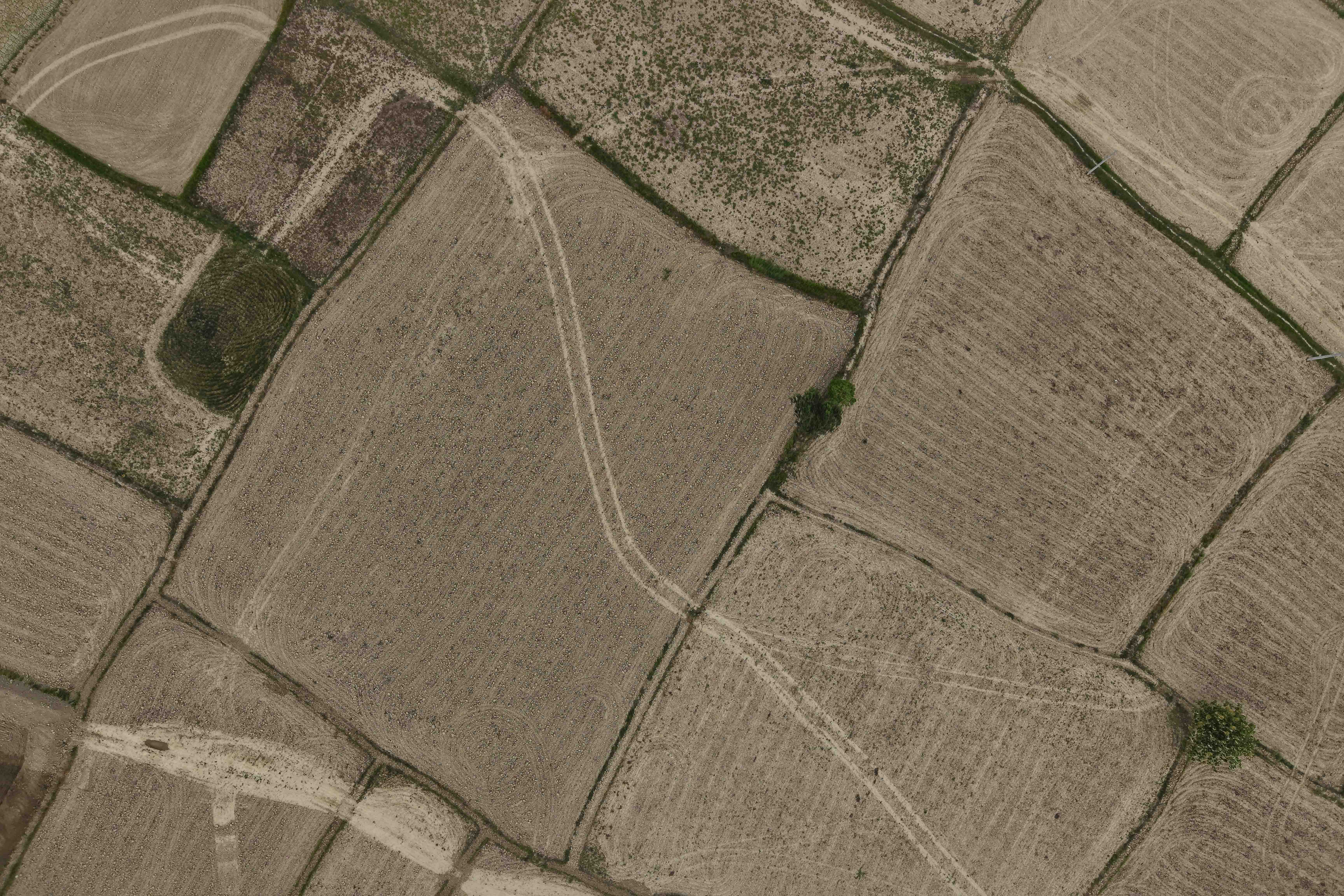 DJI_20250726074141_0906_D-(1)-1753587513.jpg