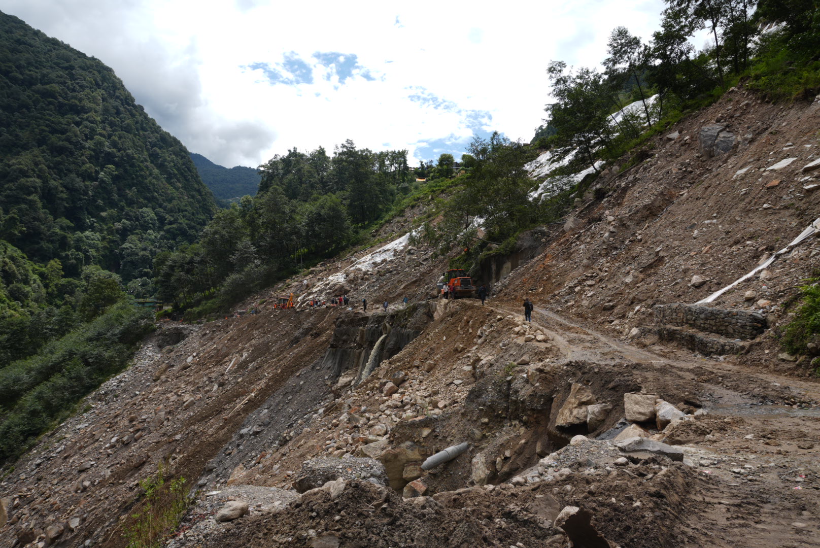 DSC01401-1758604591.JPG