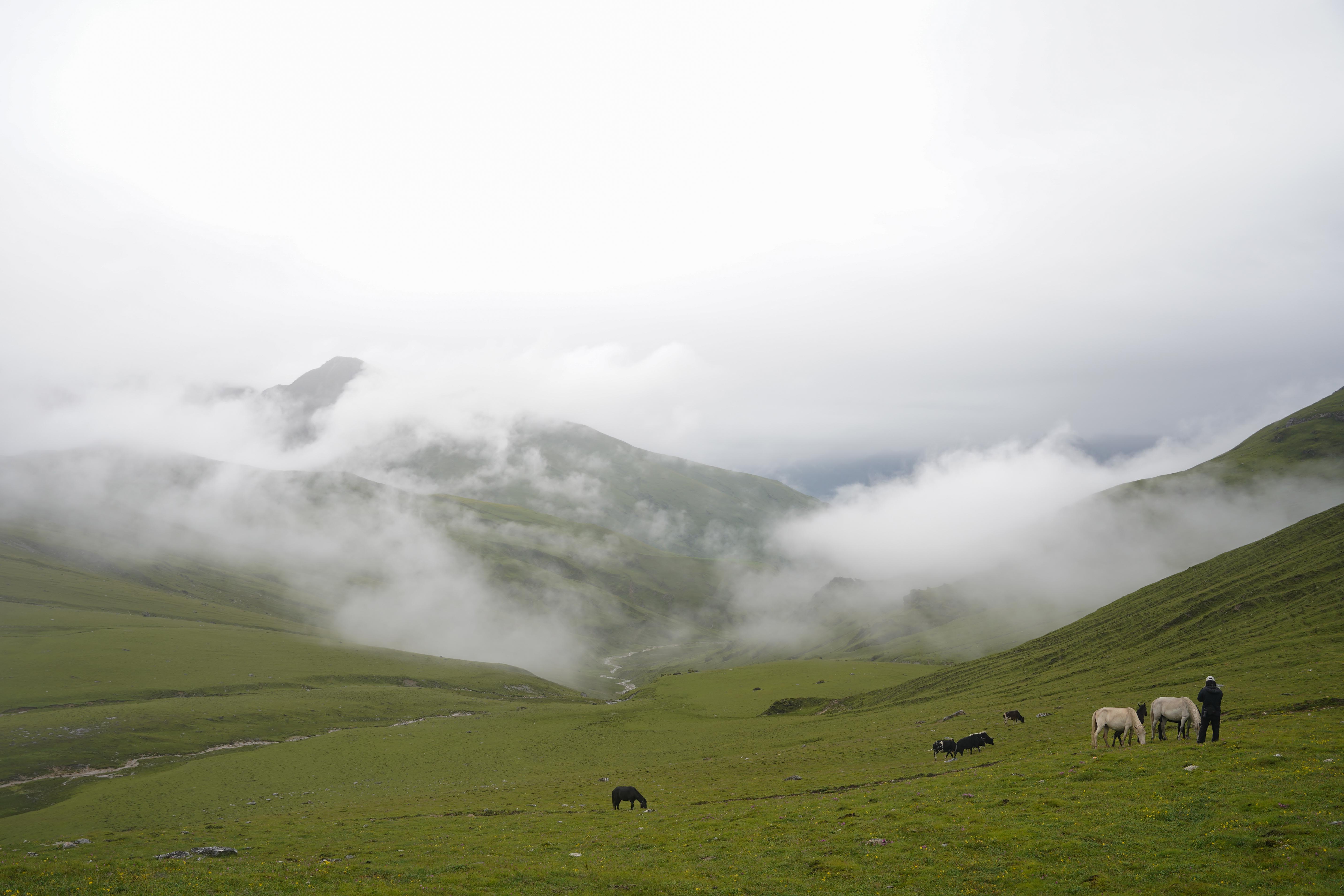 Dhorpatan_NPL_-(13)-1755930391.jpg