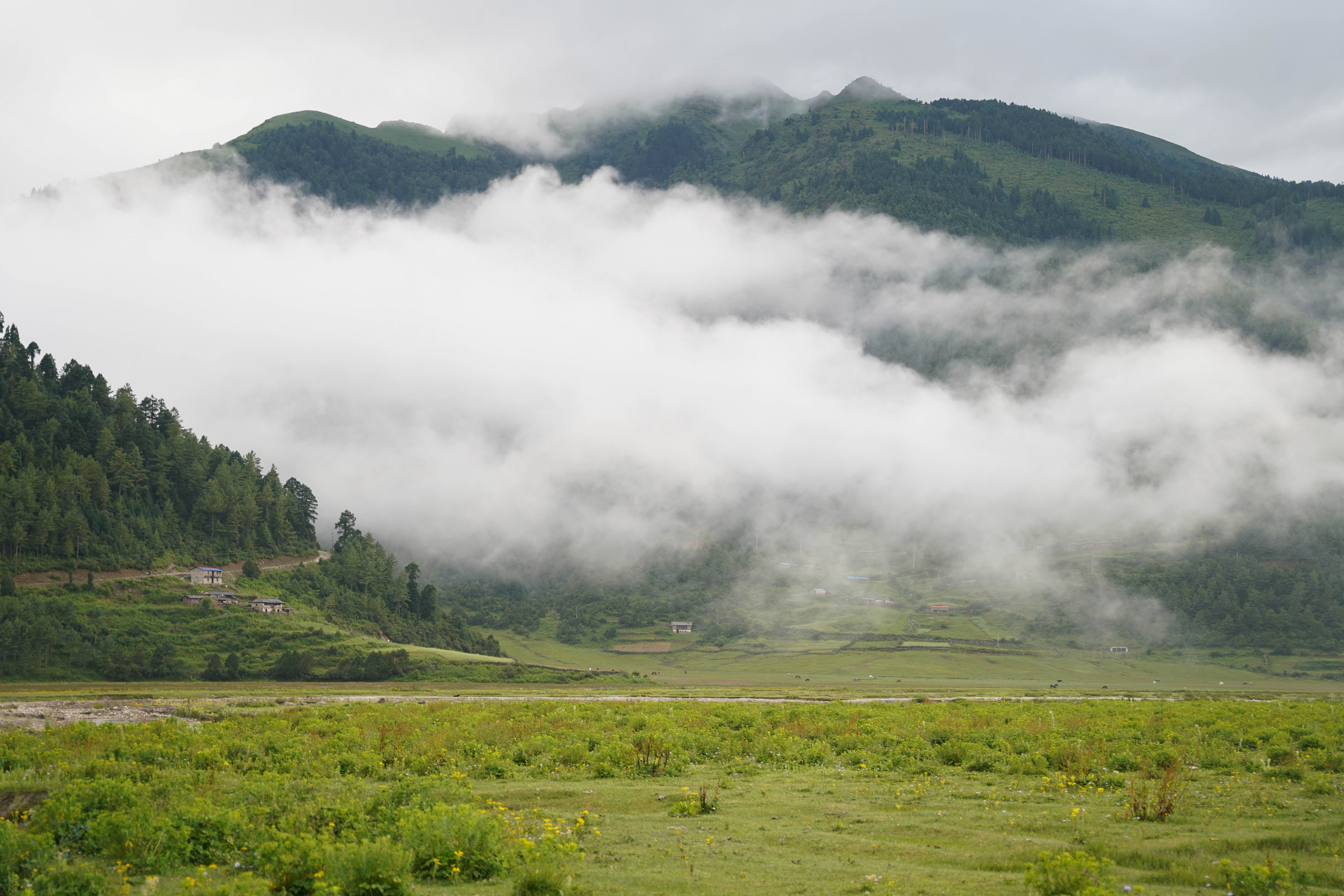 Dhorpatan_NPL_-(6)-1755930315.jpg