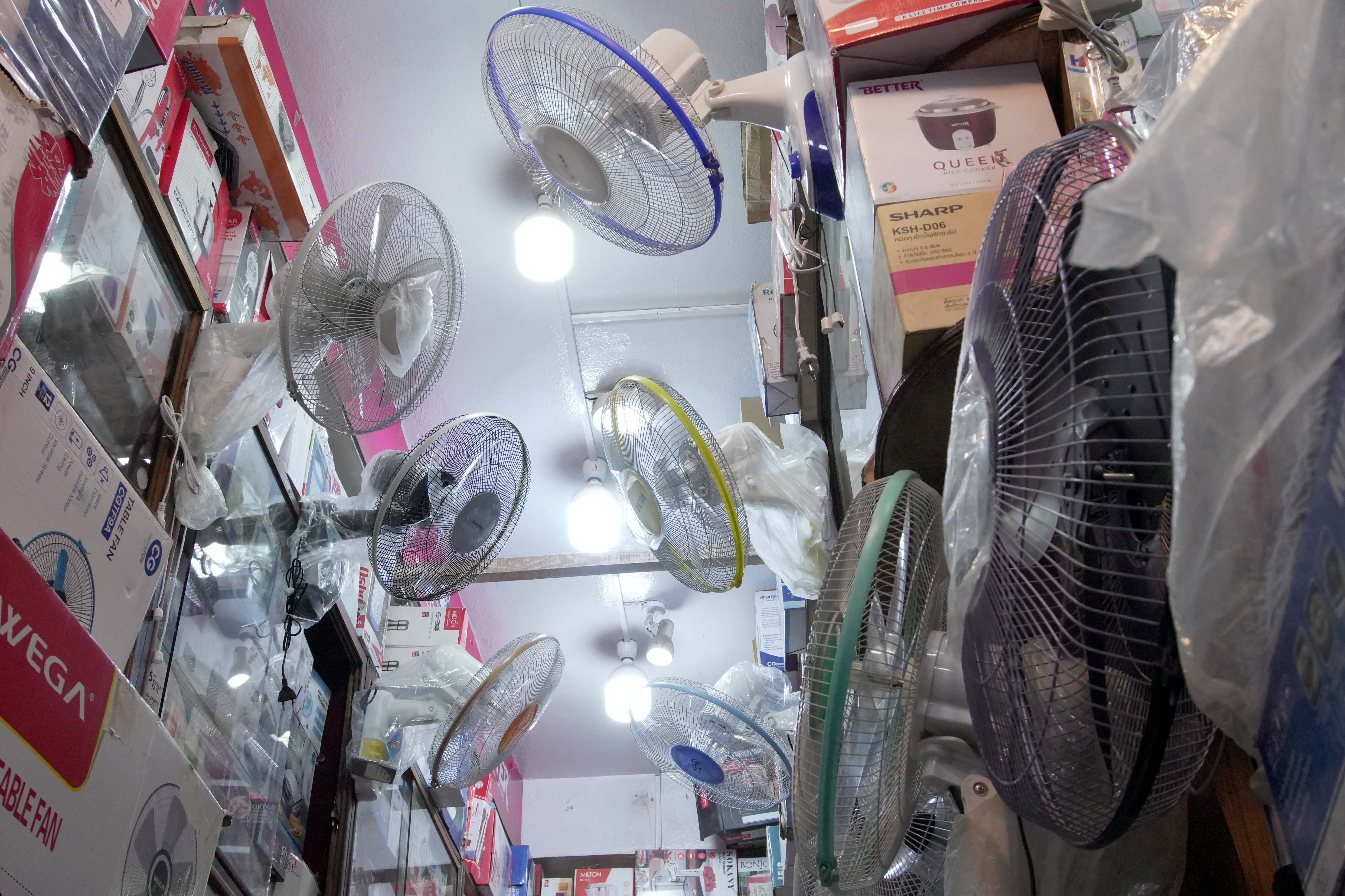 Fan-Market_DS00972-1780897278.jpg