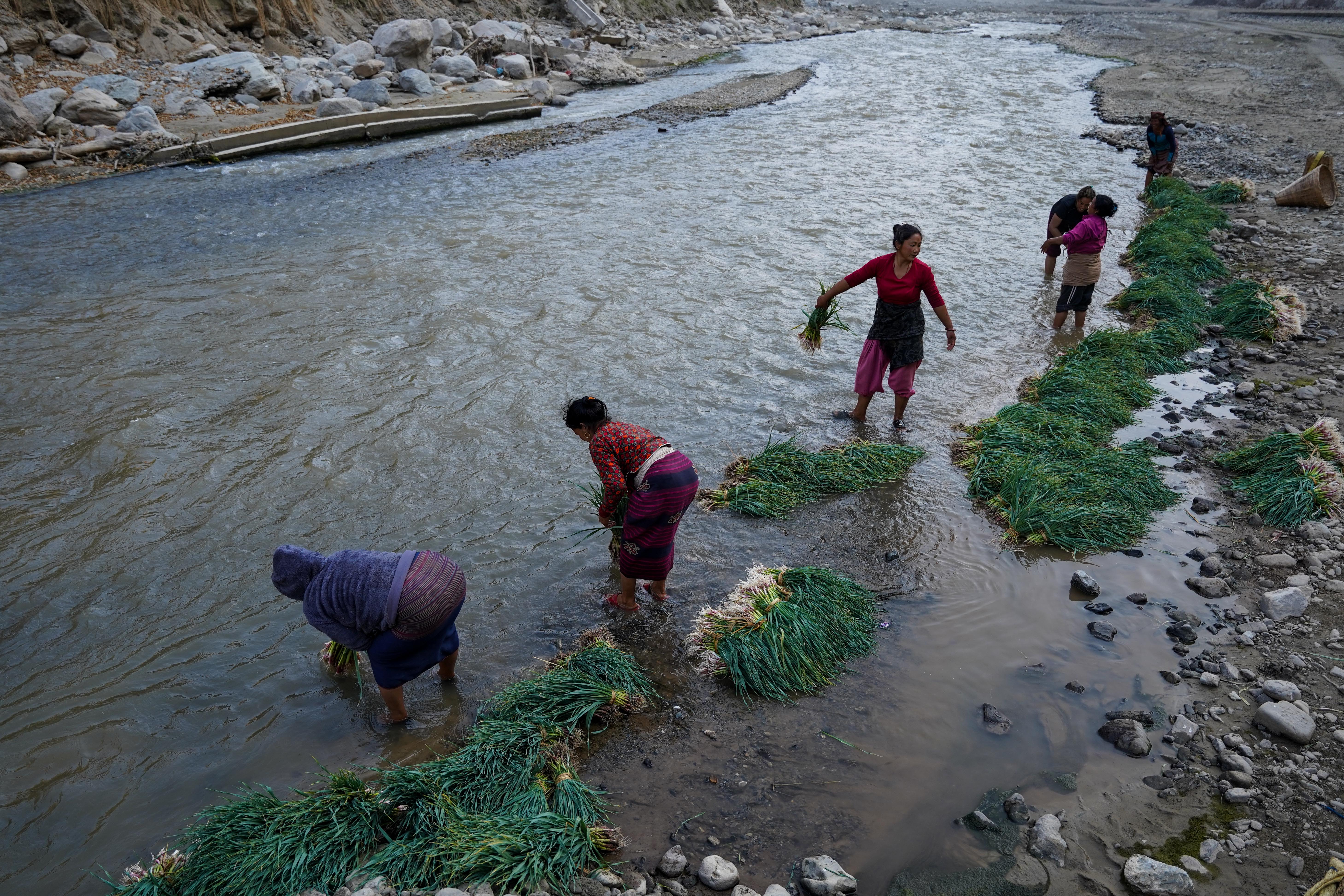 Farmer,-Roshi-River-10-1737348777.jpg