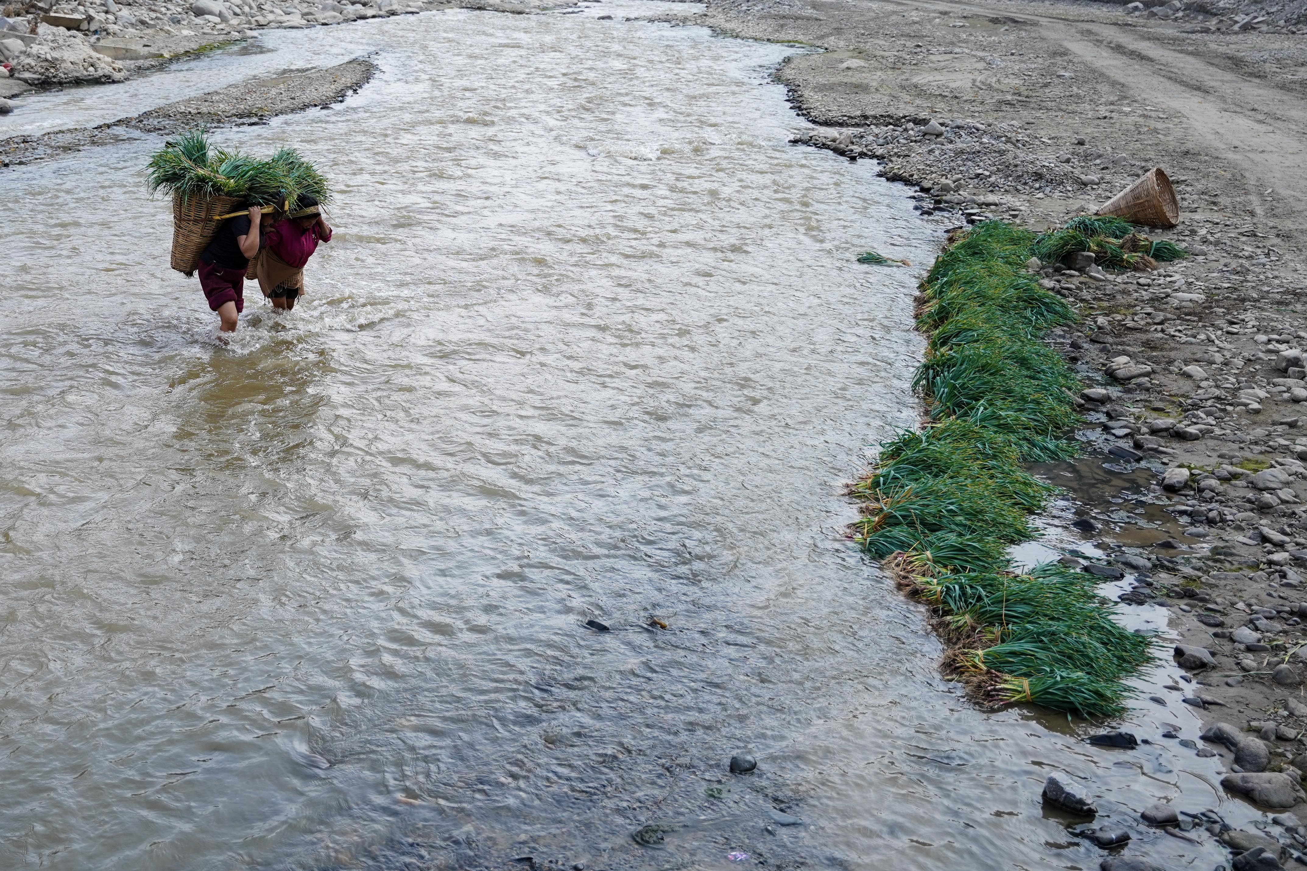 Farmer,-Roshi-River-1737348760.jpg