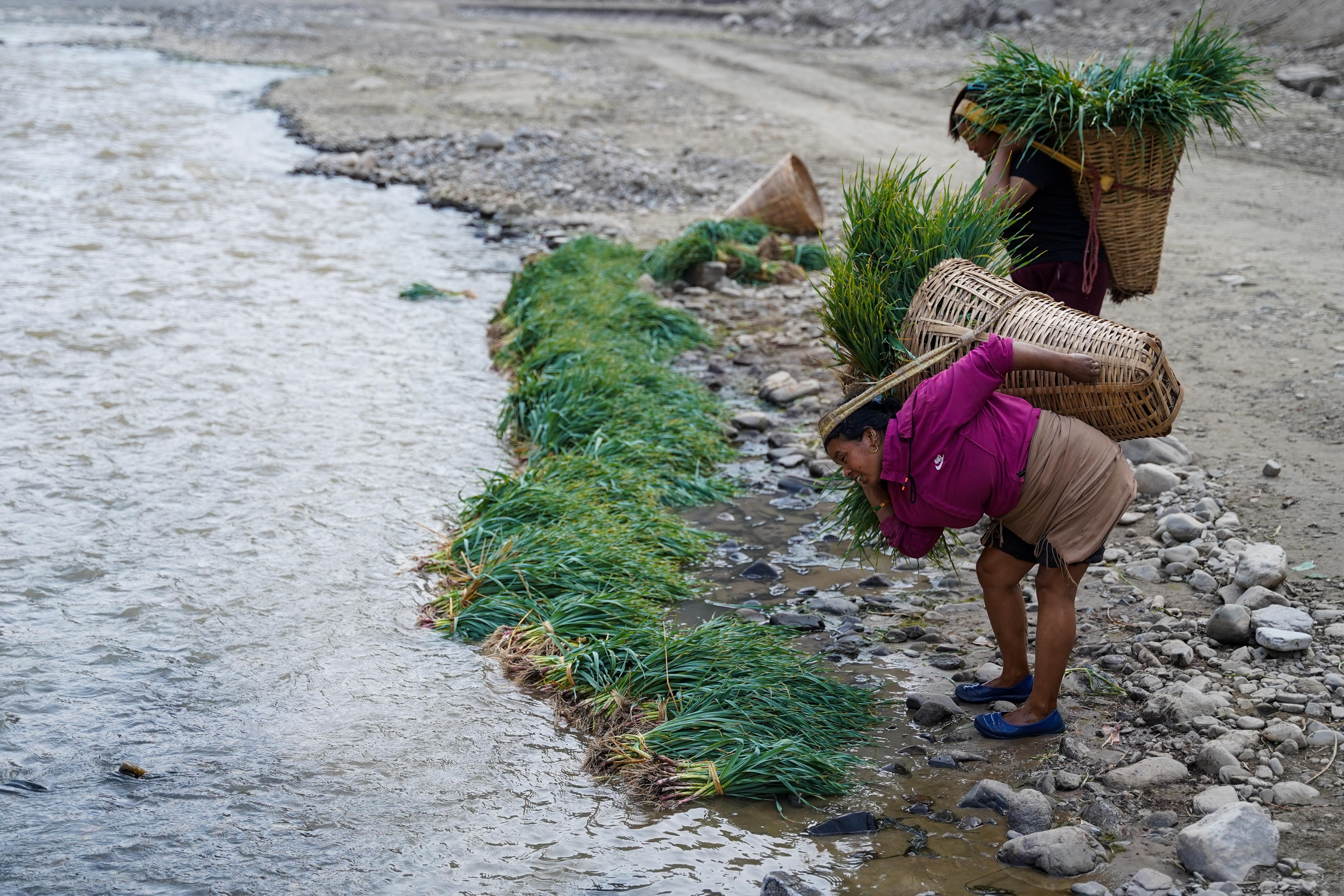 Farmer,-Roshi-River-2-1737348760.jpg