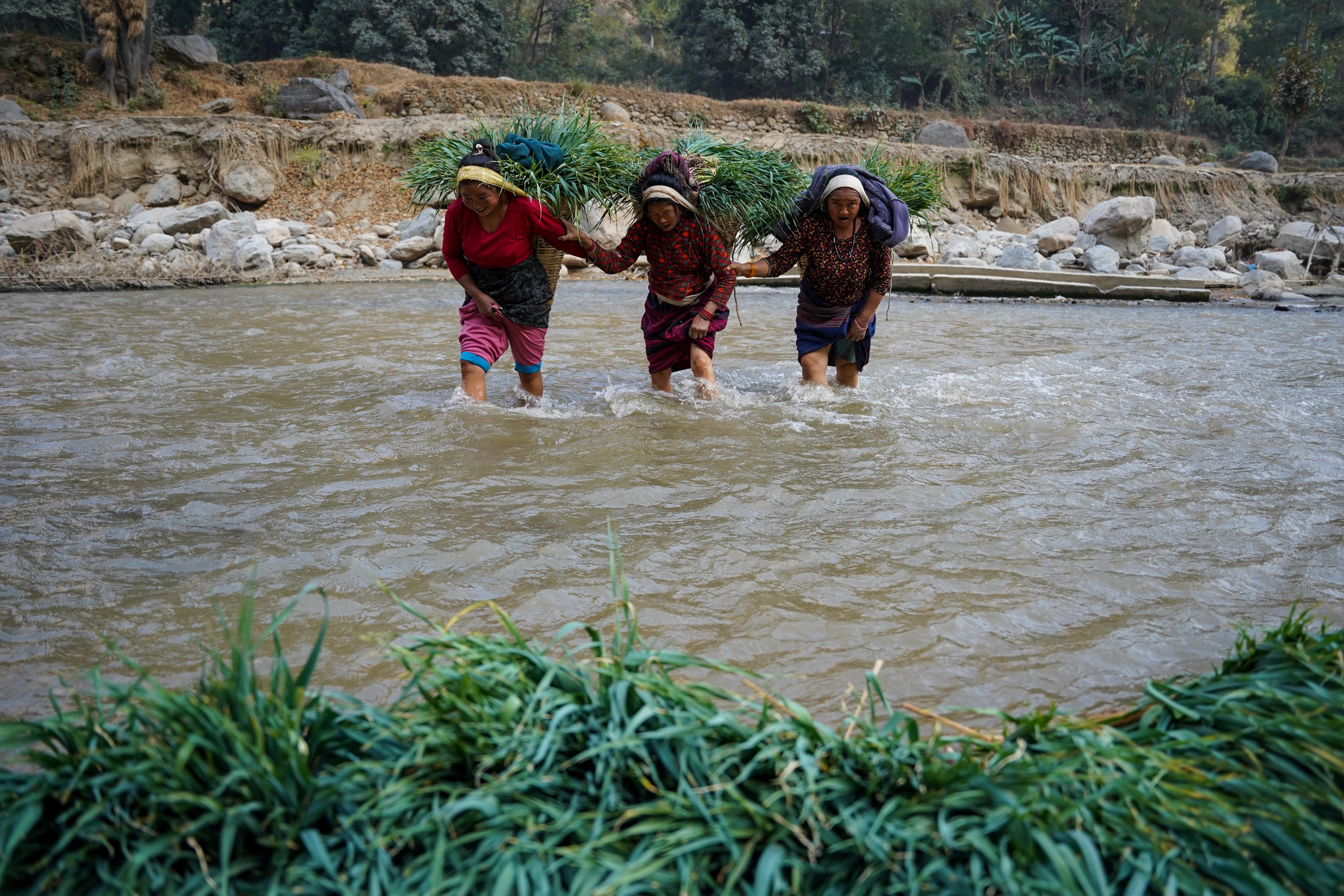 Farmer,-Roshi-River-3-1737348762.jpg