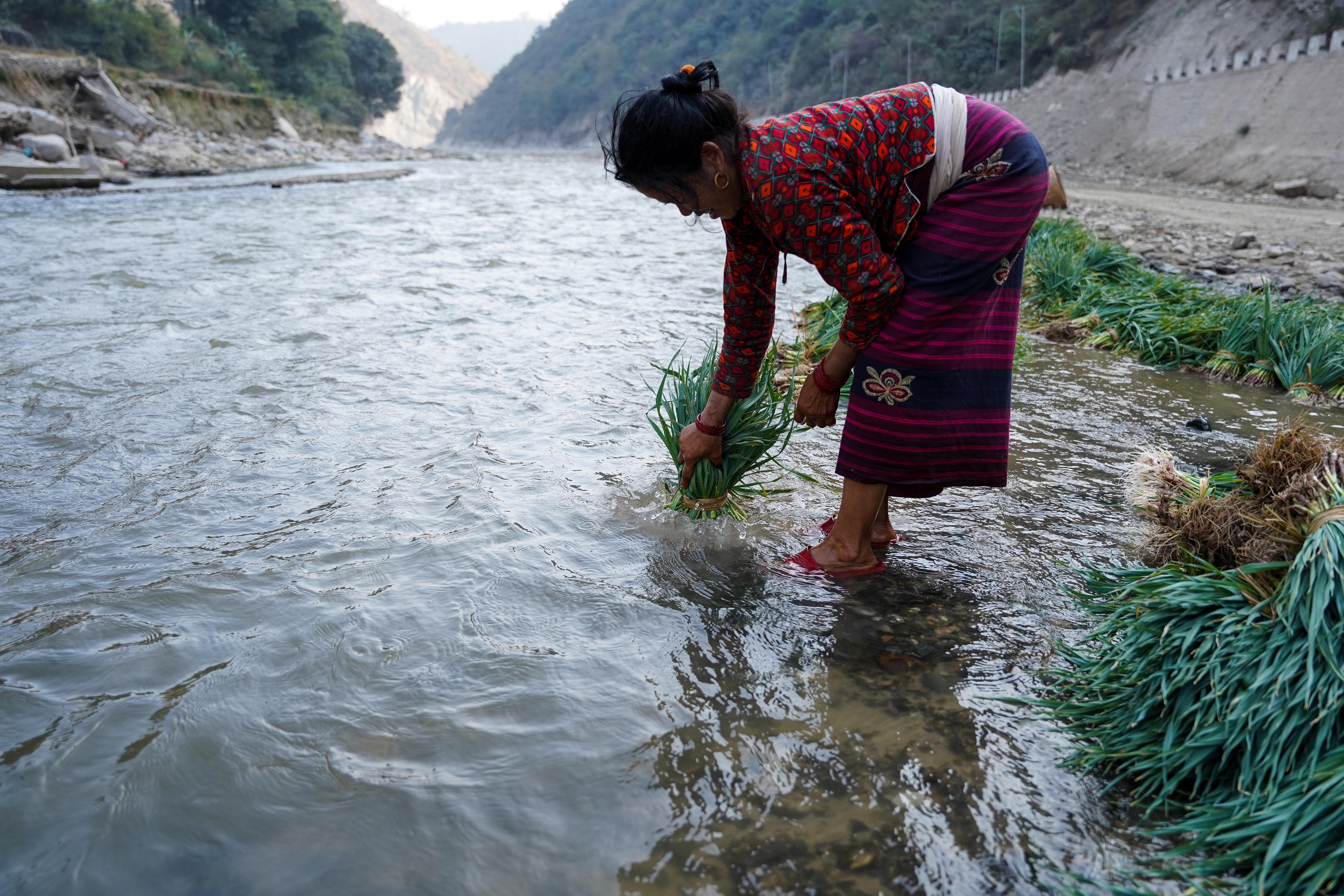 Farmer,-Roshi-River-4-1737348765.jpg