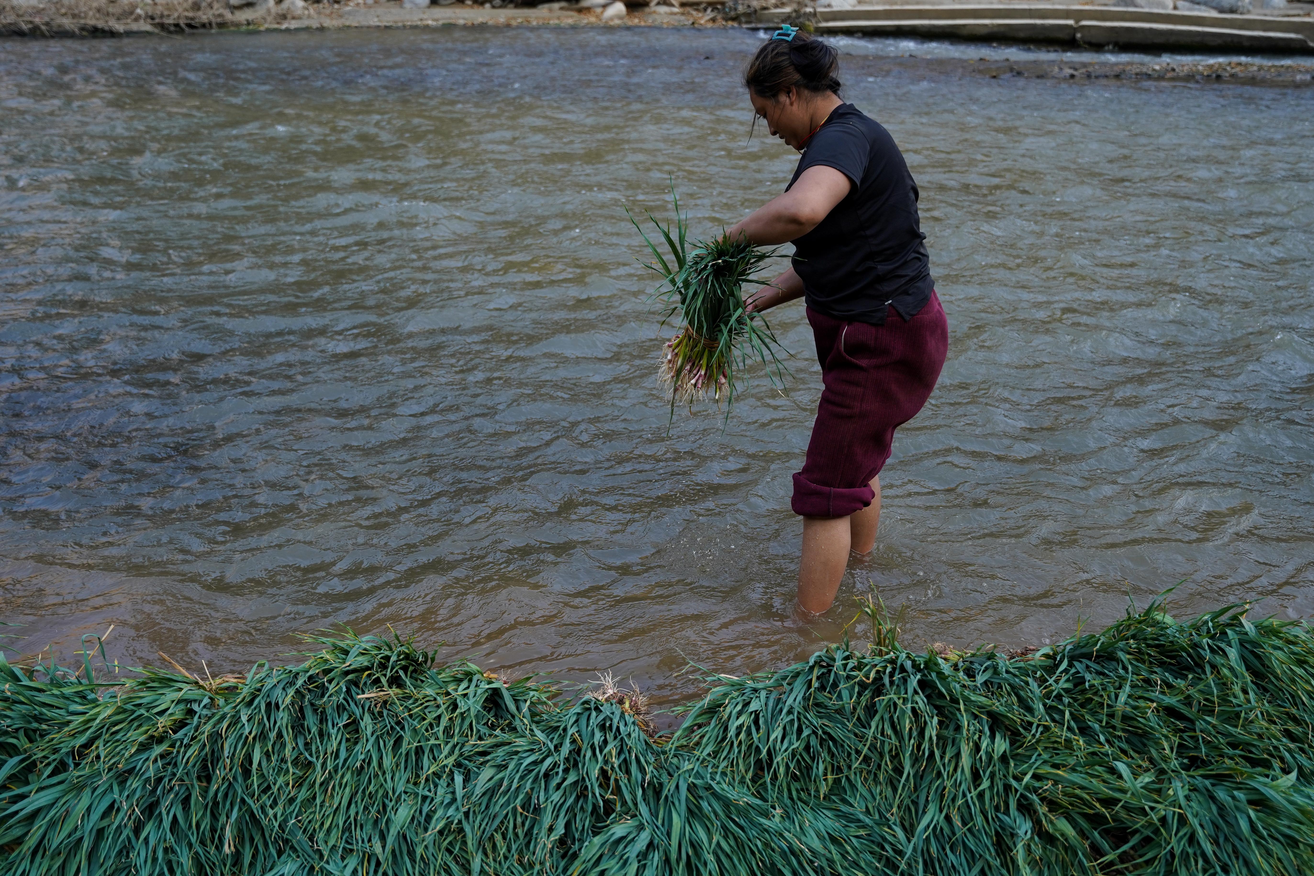 Farmer,-Roshi-River-6-1737348766.jpg