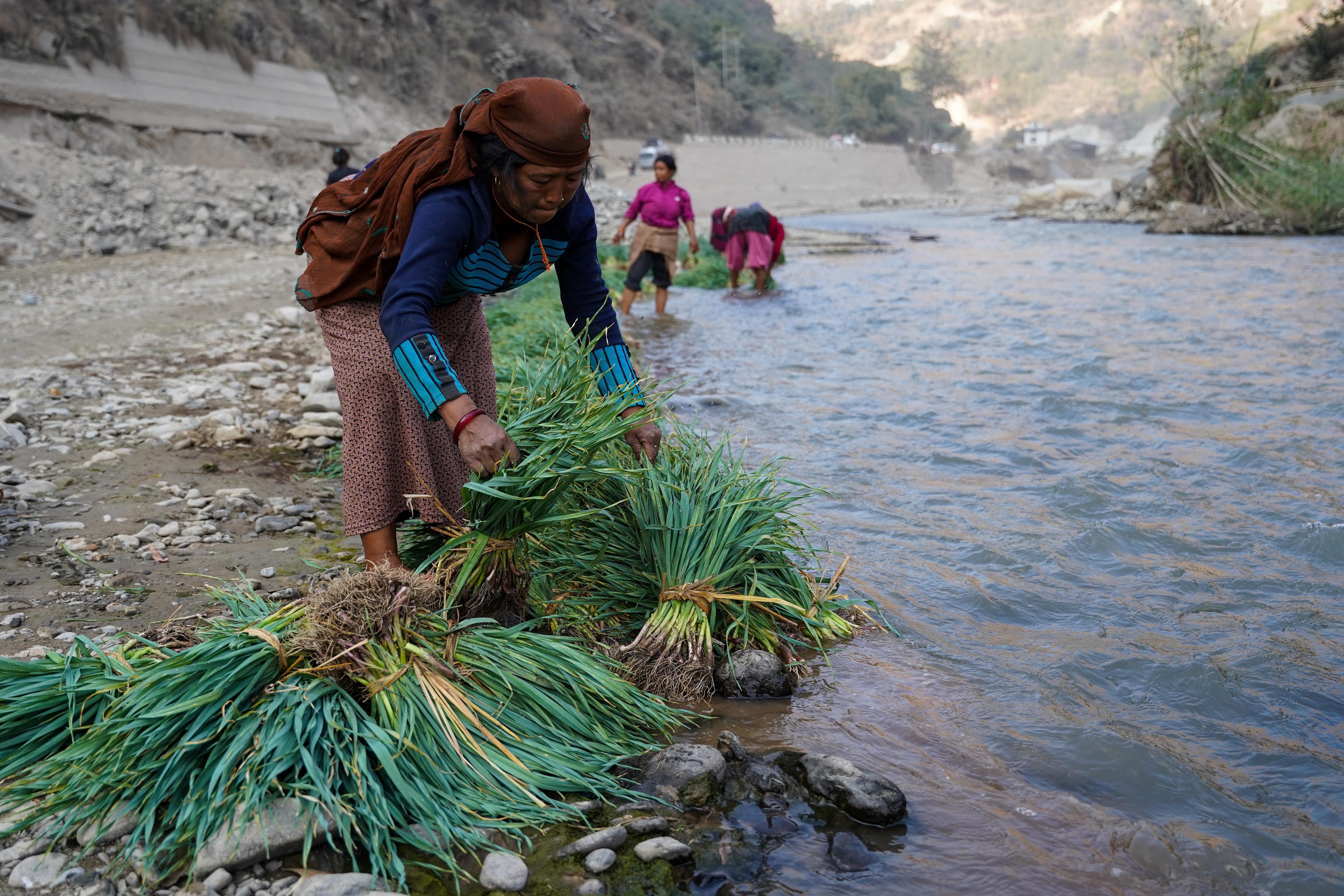 Farmer,-Roshi-River-8-1737348771.jpg