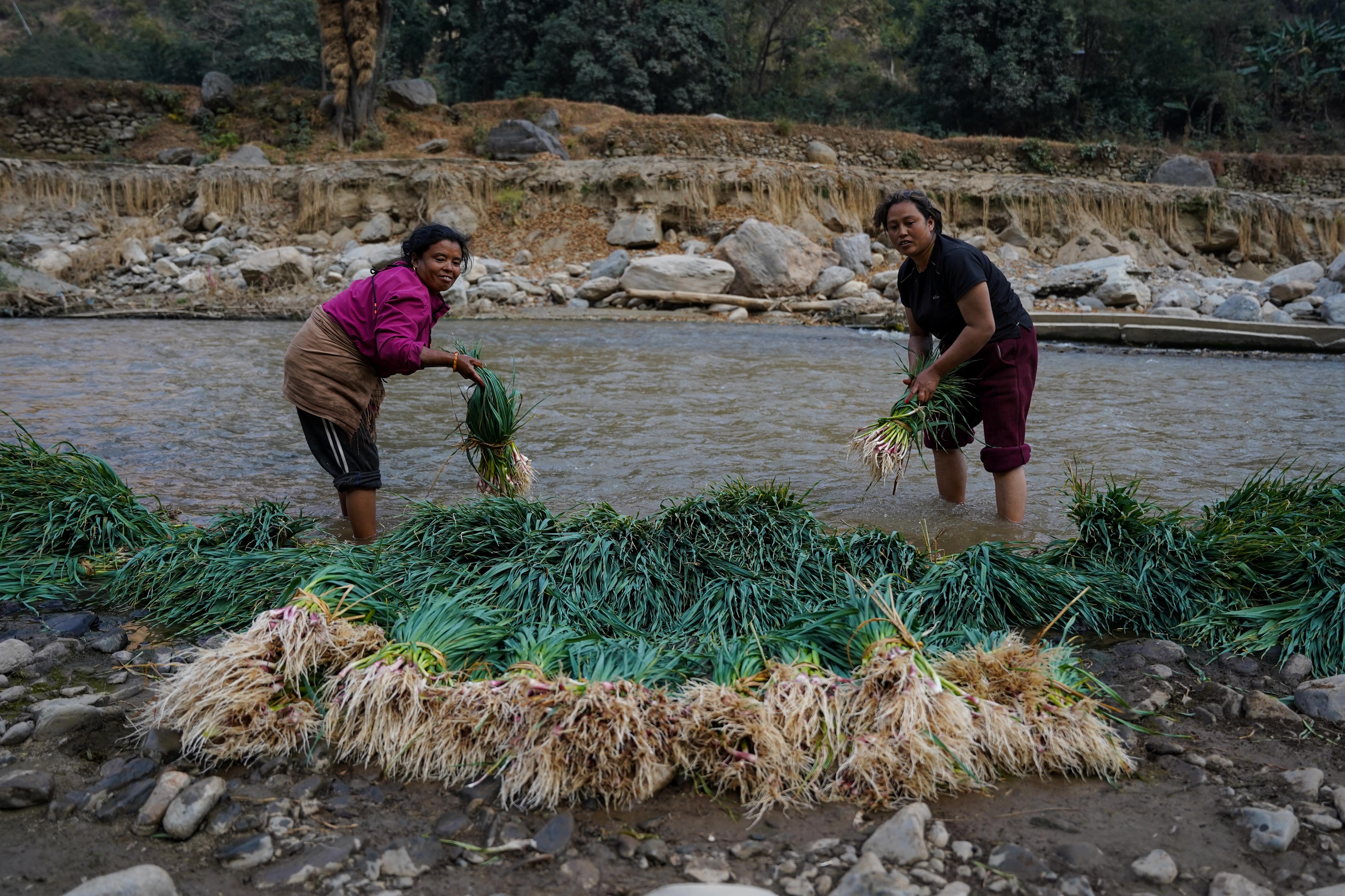 Farmer,-Roshi-River-9-1737348774.jpg