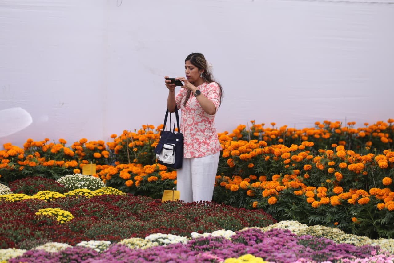 Flora-expo_NPL-(1)-1760426995.jpeg