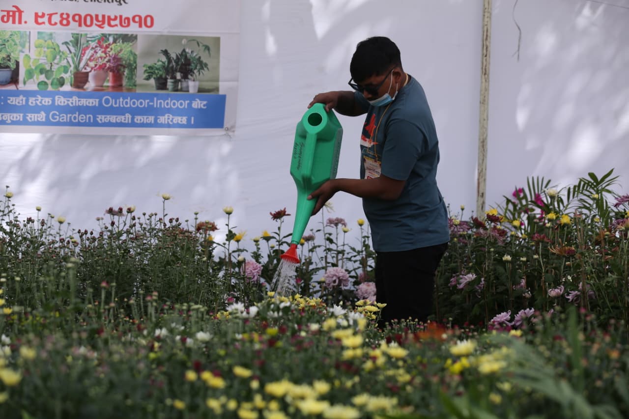 Flora-expo_NPL-(3)-1760427005.jpeg
