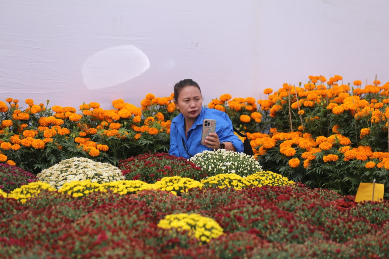 Flora-expo_NPL-(4)-1760427004.jpeg