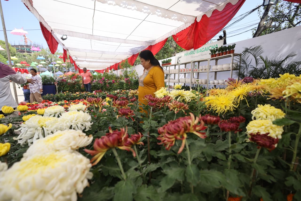 Flora-expo_NPL-(7)-1760426992.jpeg
