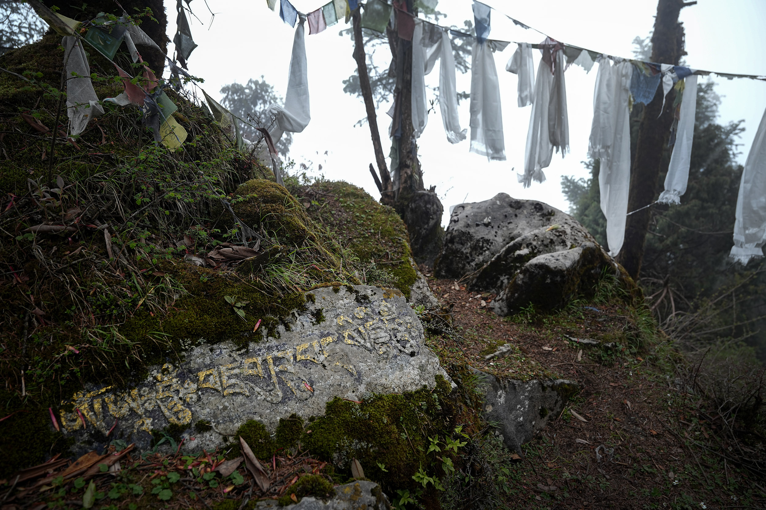 Ghopteghyang-to-Thorepati_Hiking_NPL-PCT_-(1)-1782537492.JPG