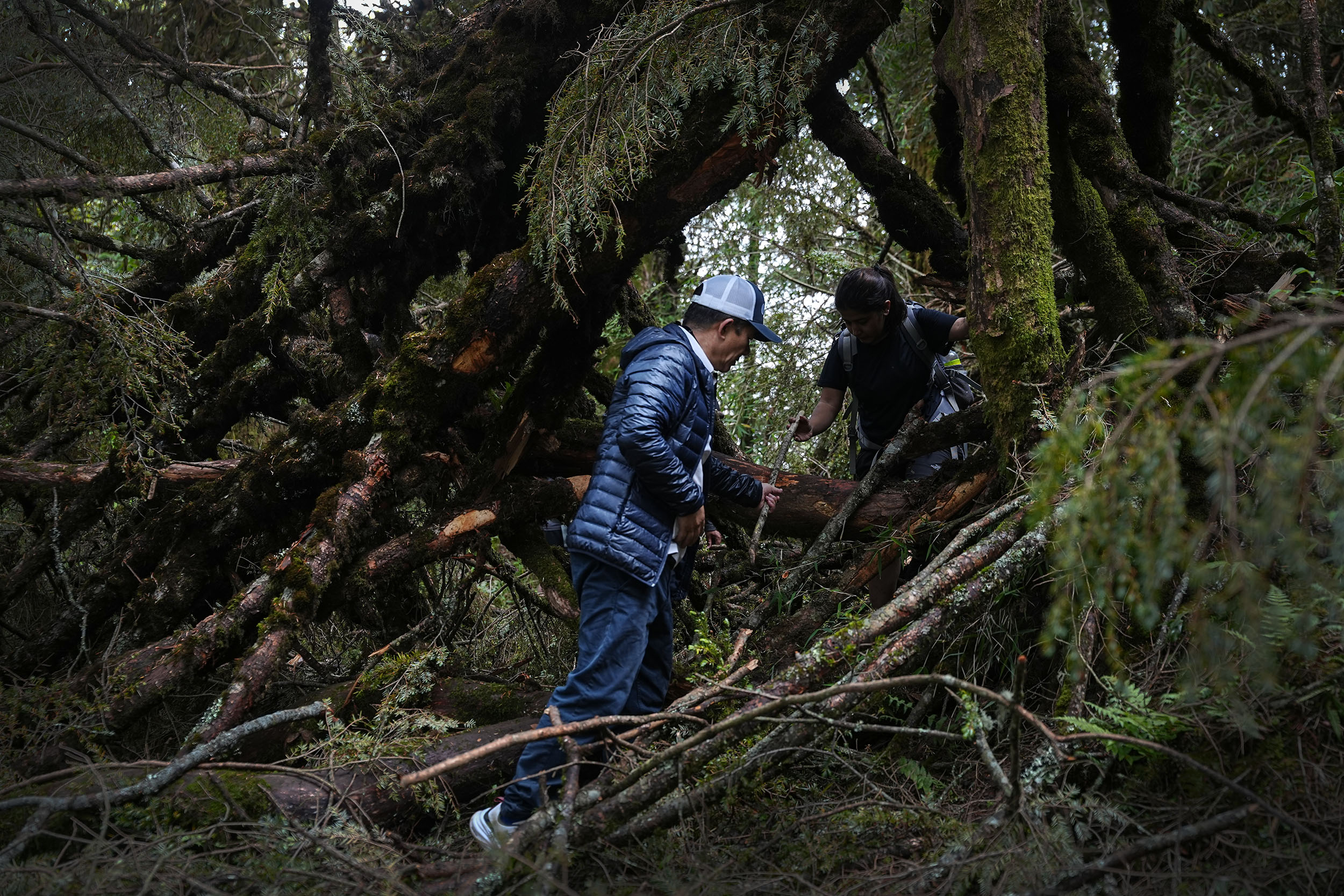 Ghopteghyang-to-Thorepati_Hiking_NPL-PCT_-(13)-1782537499.JPG