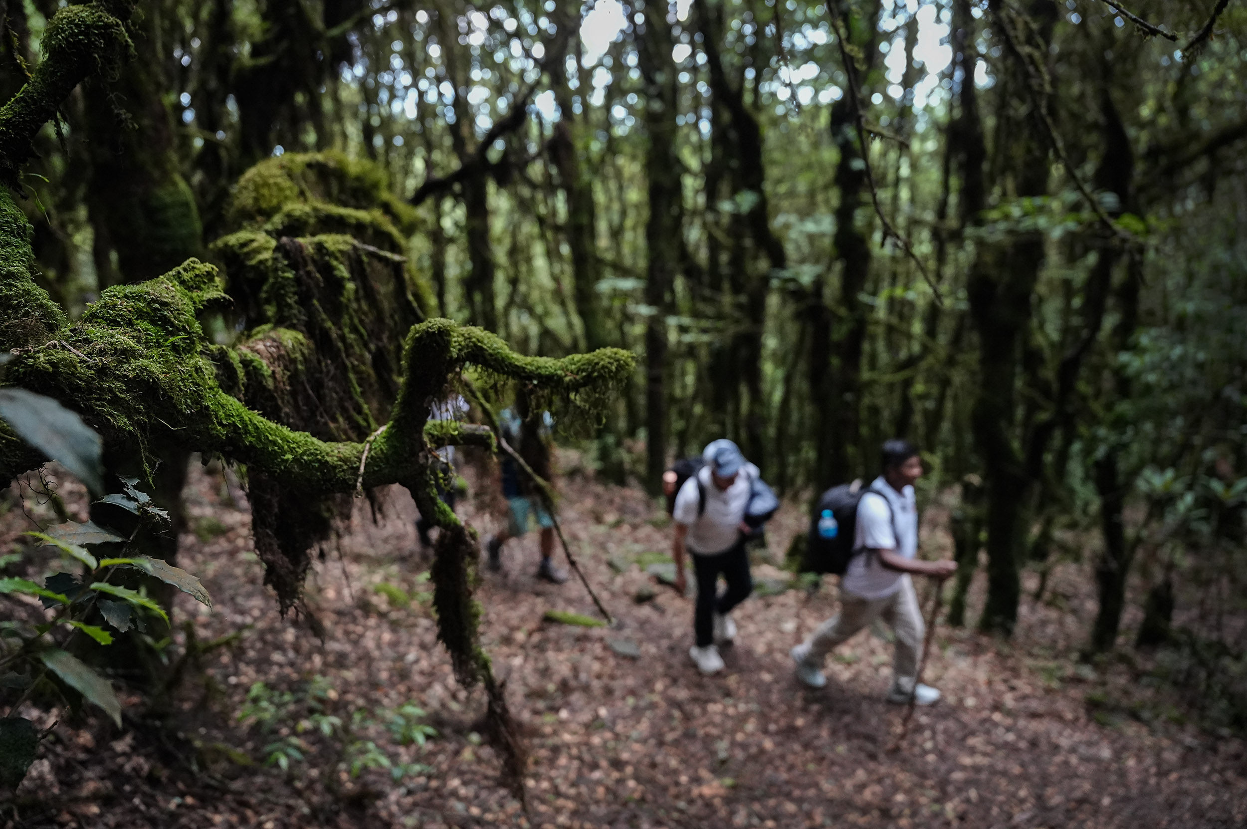 Ghopteghyang-to-Thorepati_Hiking_NPL-PCT_-(8)-1782537494.JPG