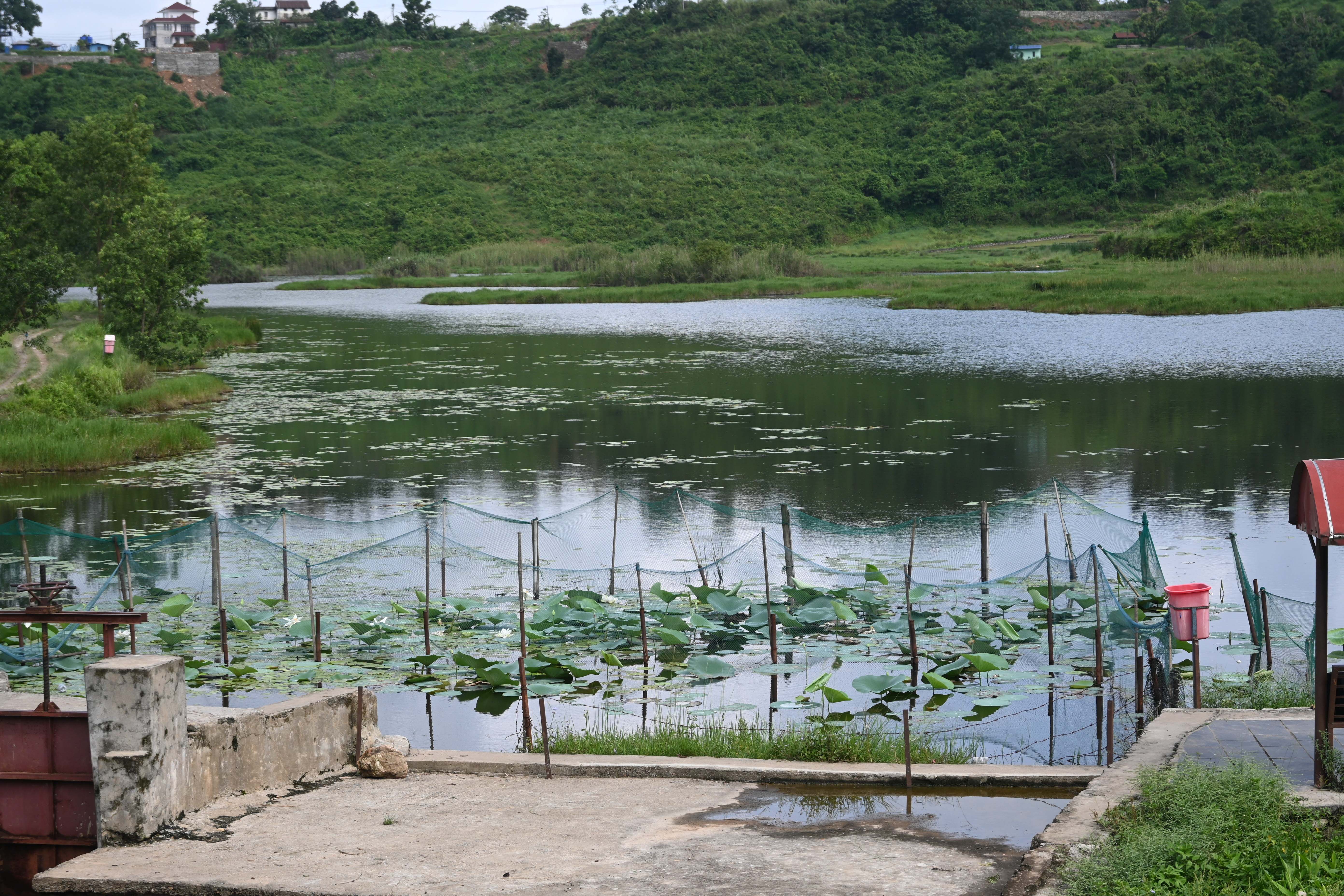 Gudepokhari,-pokhara_-568-1751259635.jpg