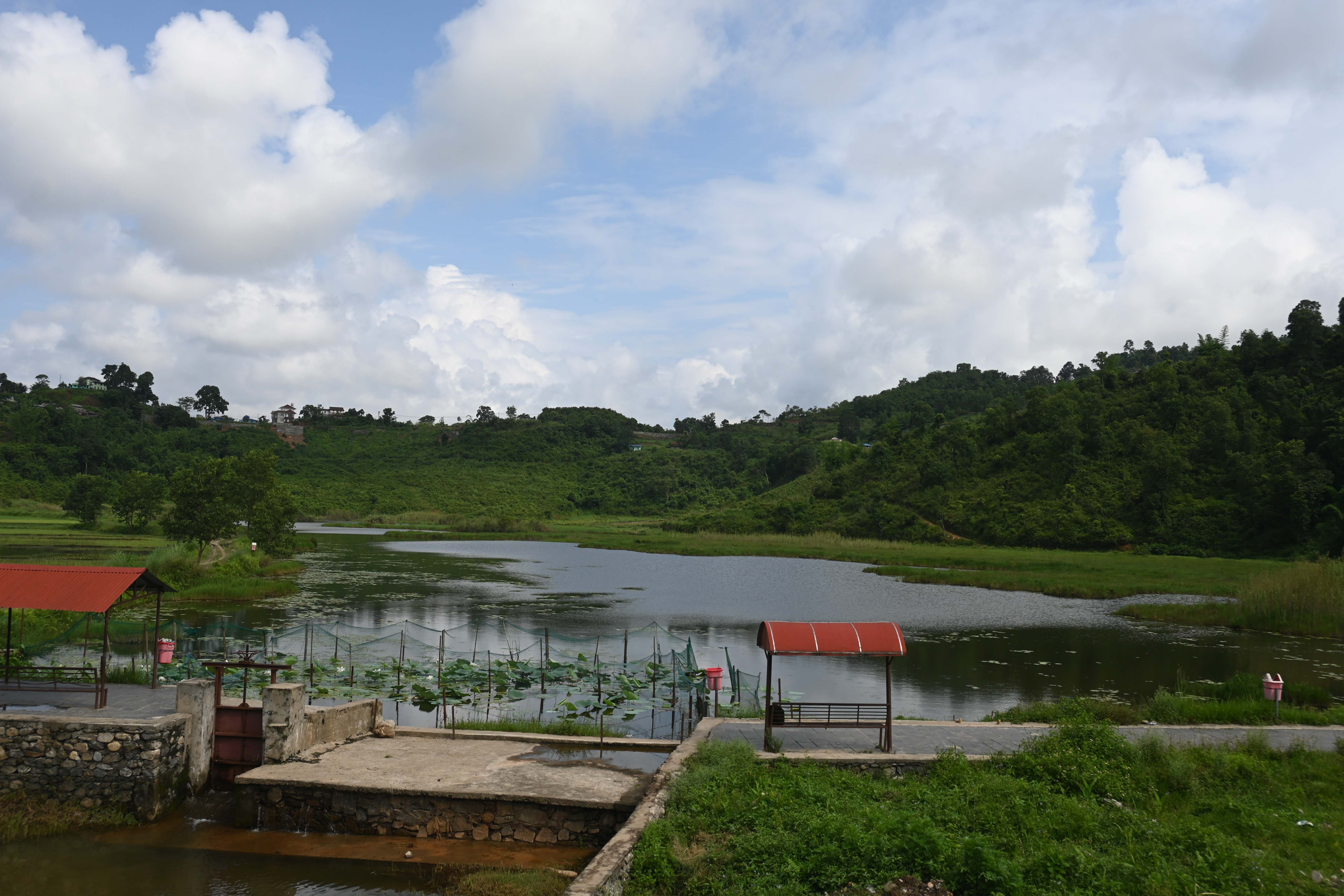 Gudepokhari,-pokhara_-570-1751259636.jpg