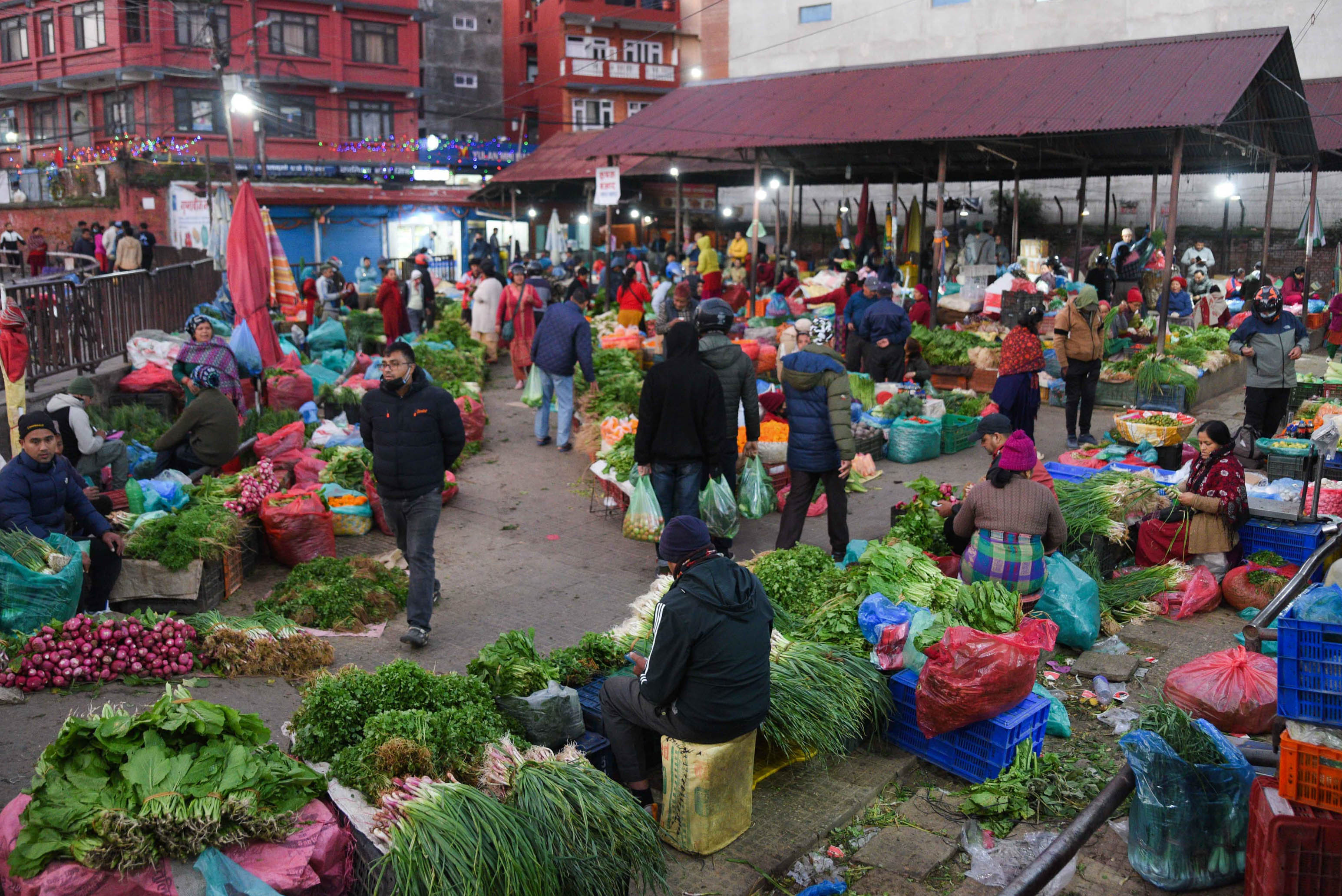 Kalimati-Fruit-and-Vegetables-Market_-514-1762923370.jpg
