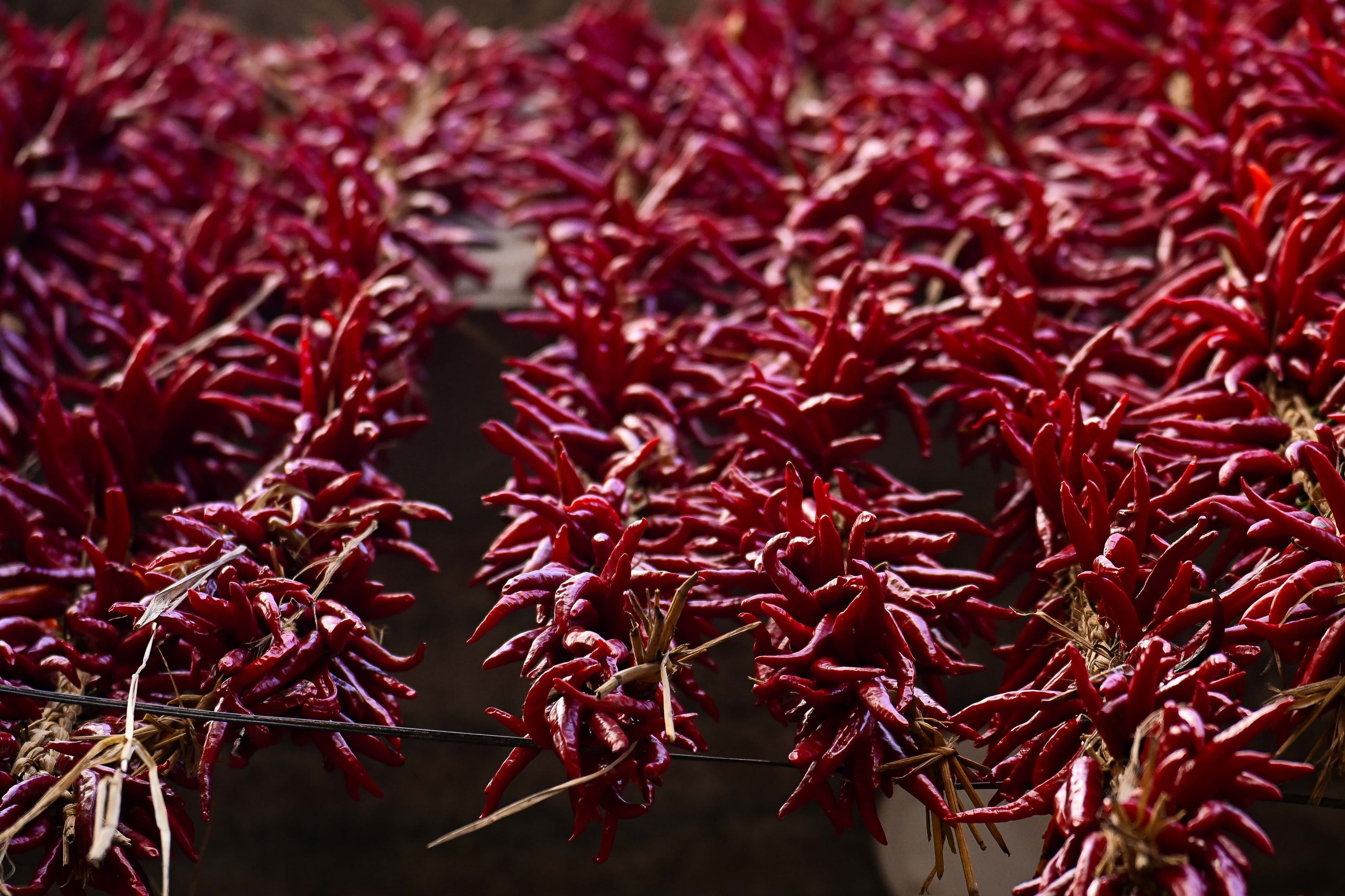 Khokana-Red-chilli_NPL-(23)-1754544103.jpeg
