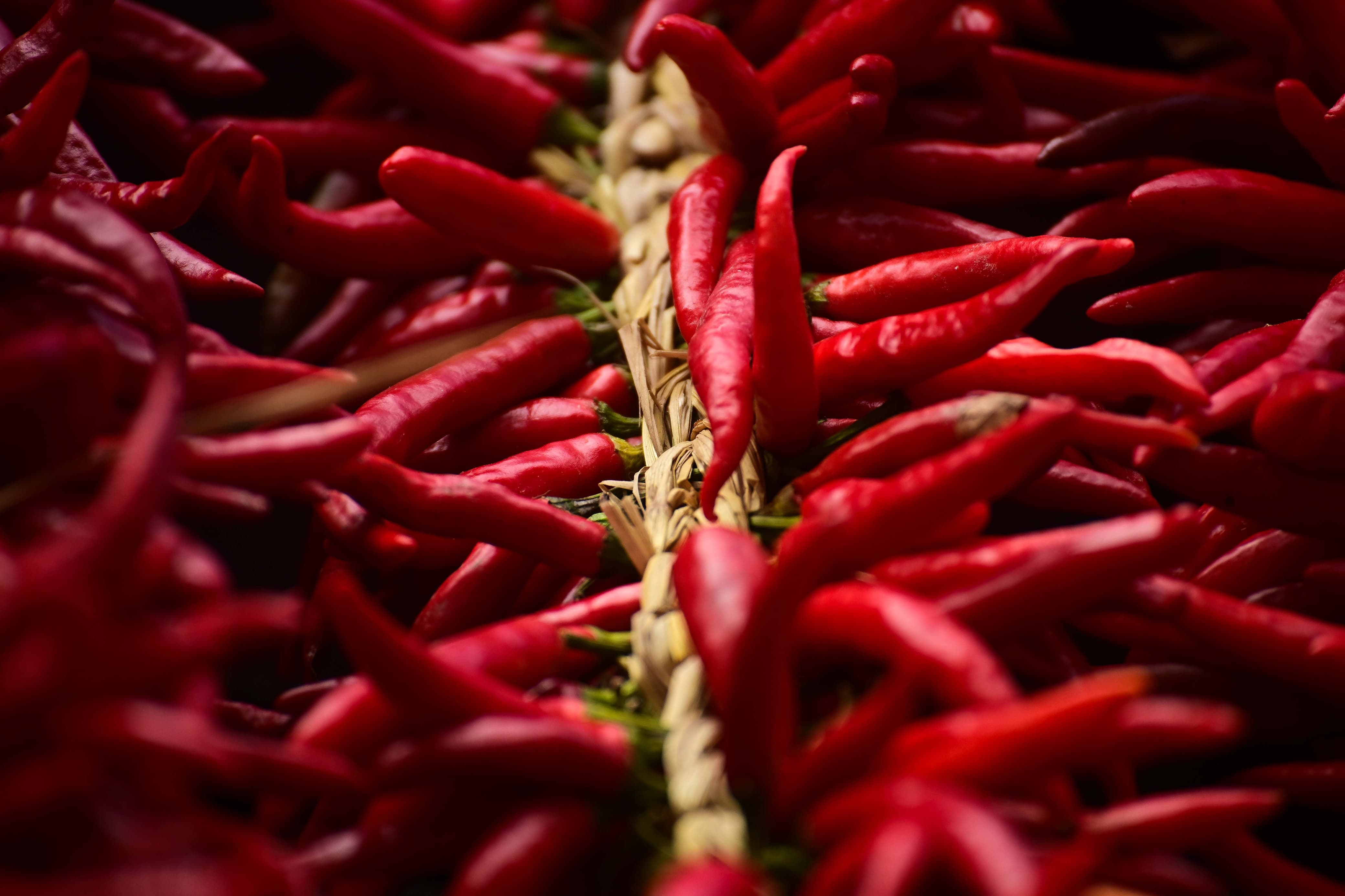 Khokana-Red-chilli_NPL-(5)-1754544260.jpeg