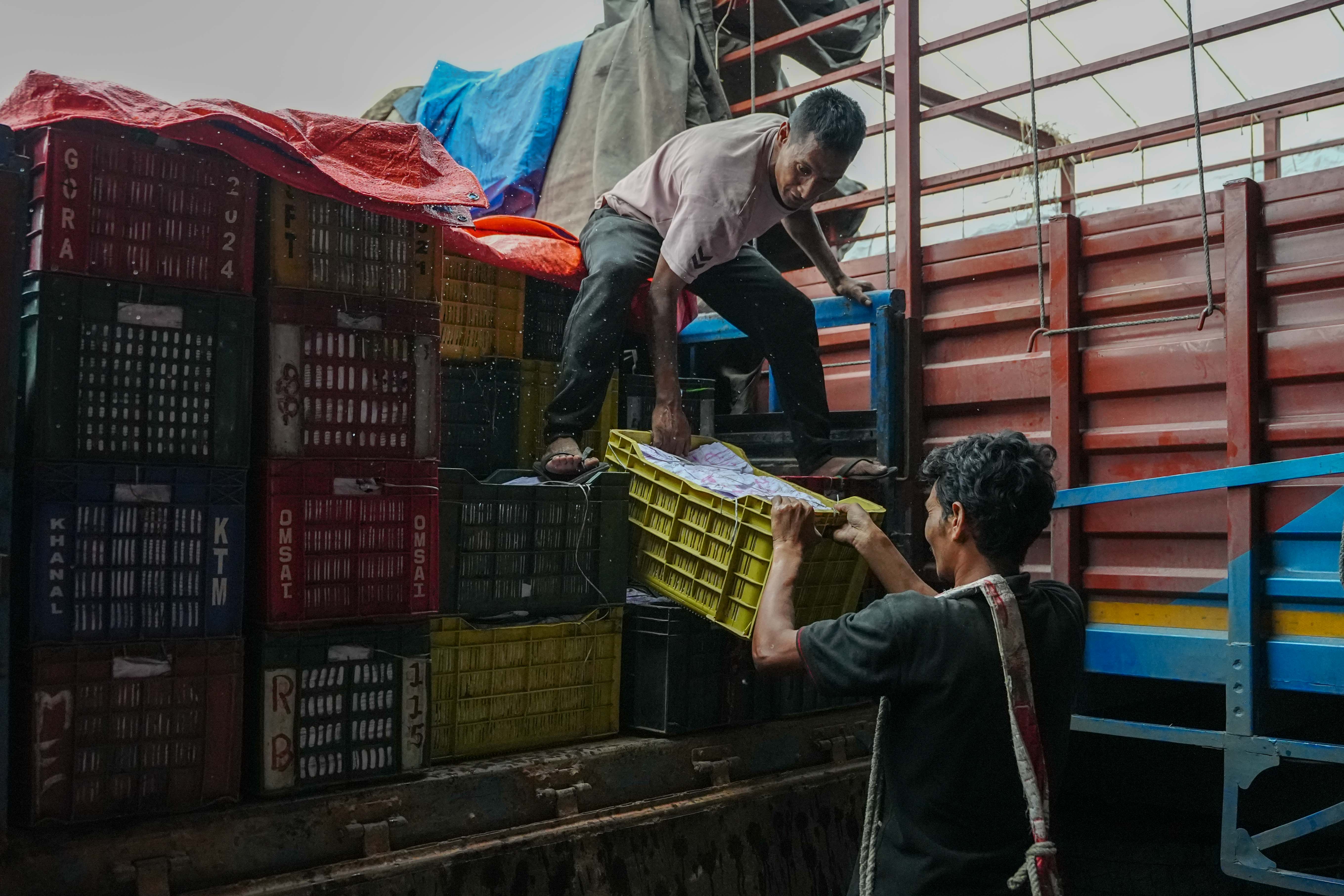 Kuleshwor-Market_Mango_10-1780635785.jpg