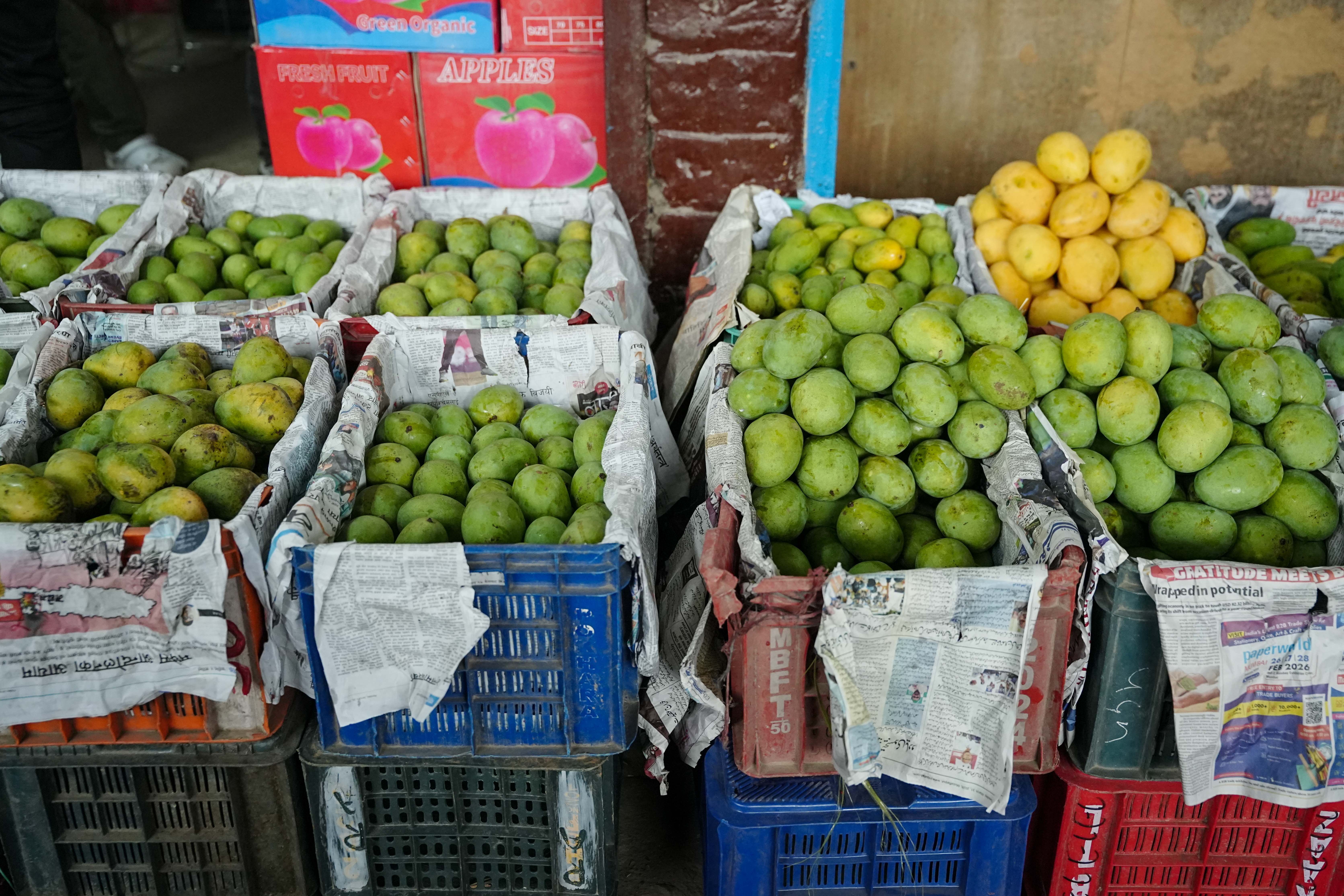 Kuleshwor-Market_Mango_12-1780635805.jpg