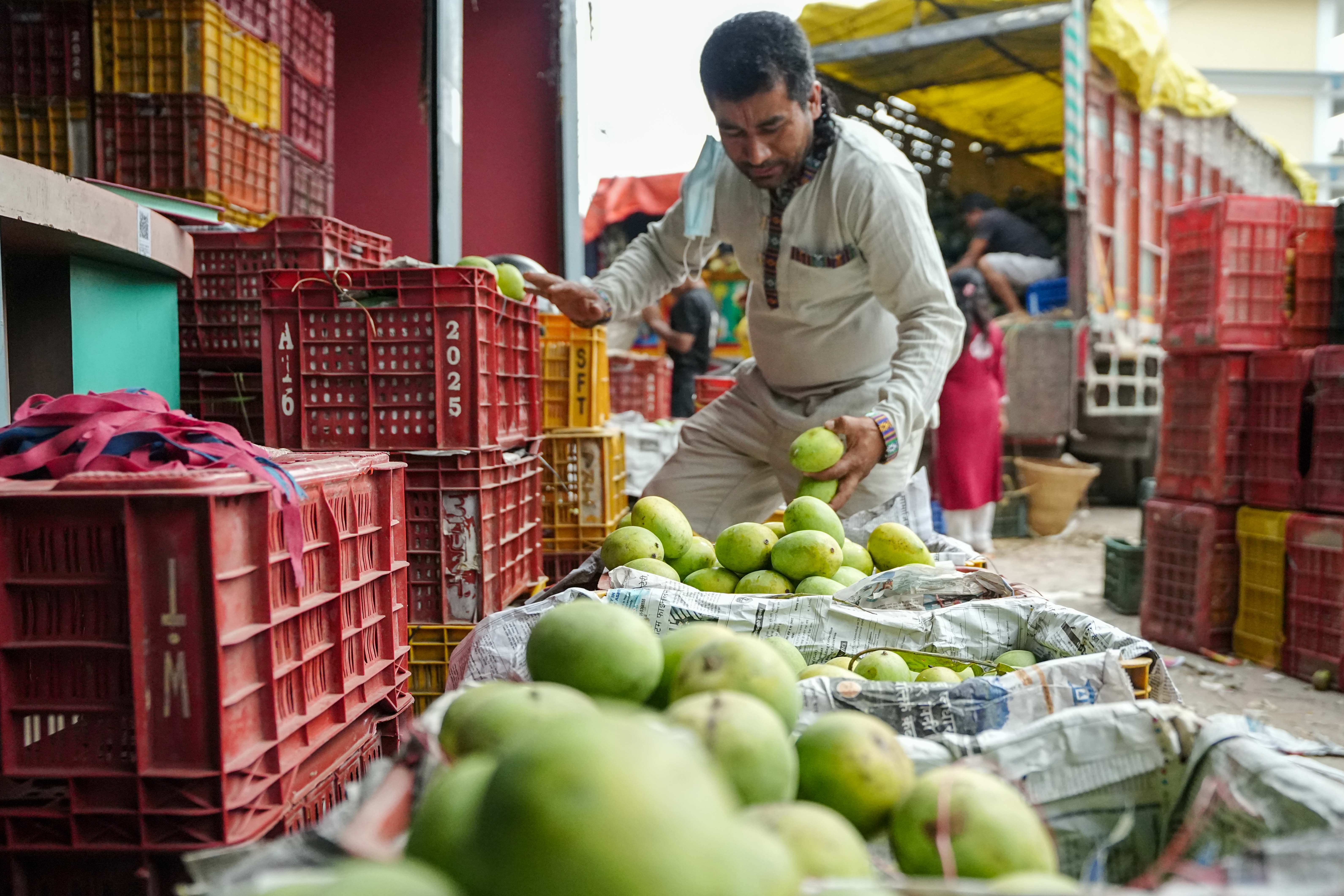 Kuleshwor-Market_Mango_3-1780635789.jpg
