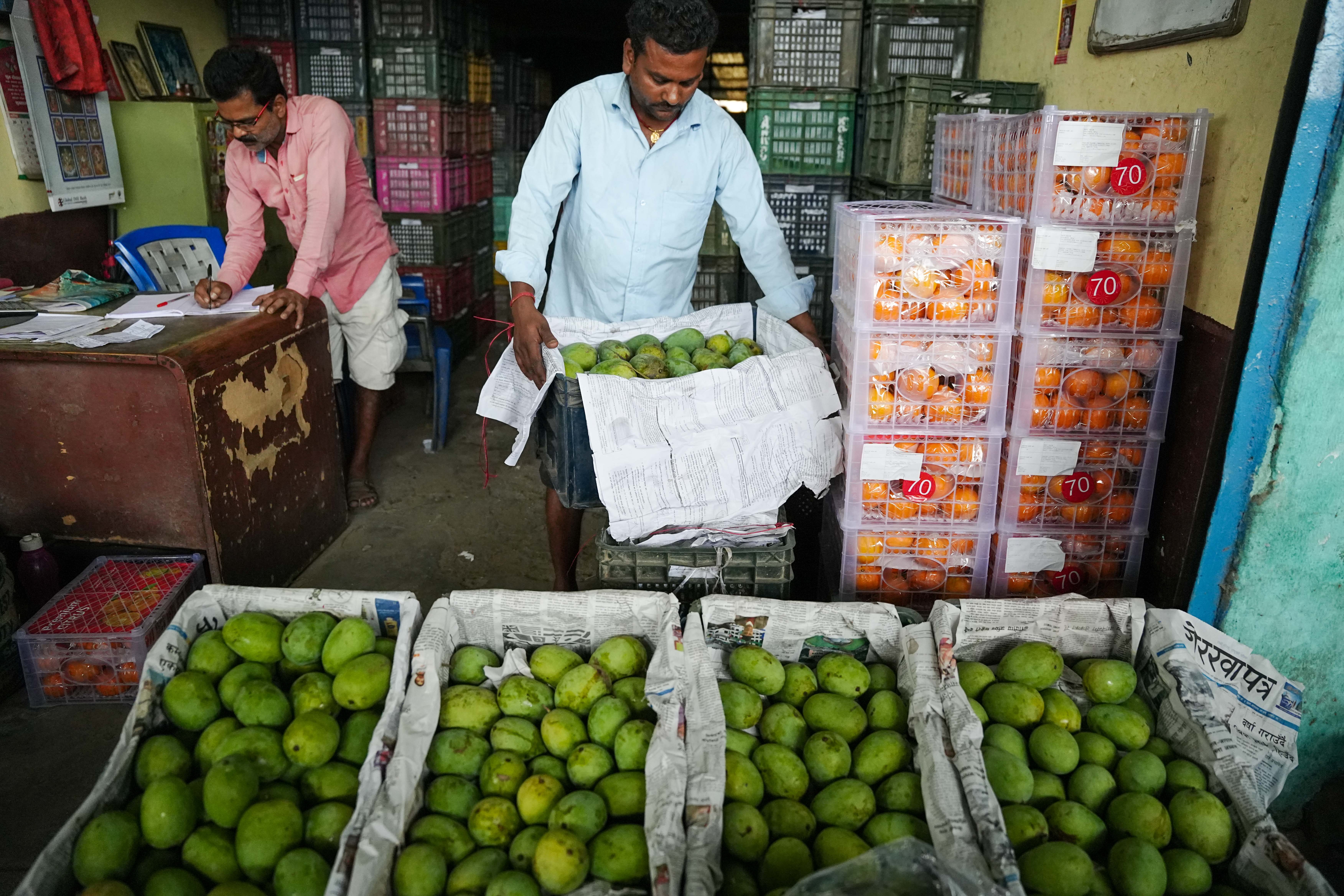 Kuleshwor-Market_Mango_7-1780635798.jpg