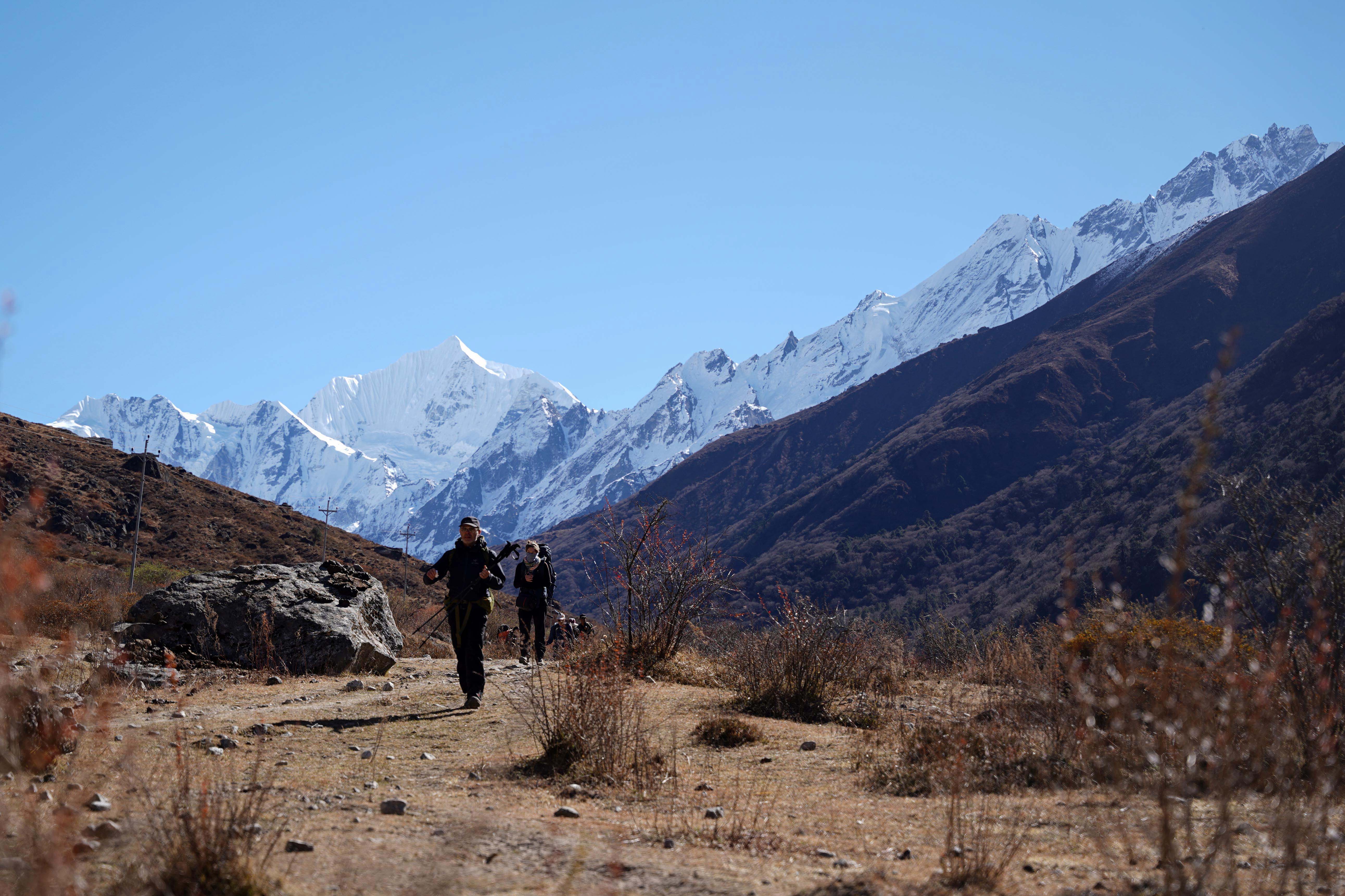 Langtang_Valley_DSC06798-1764393608.jpg