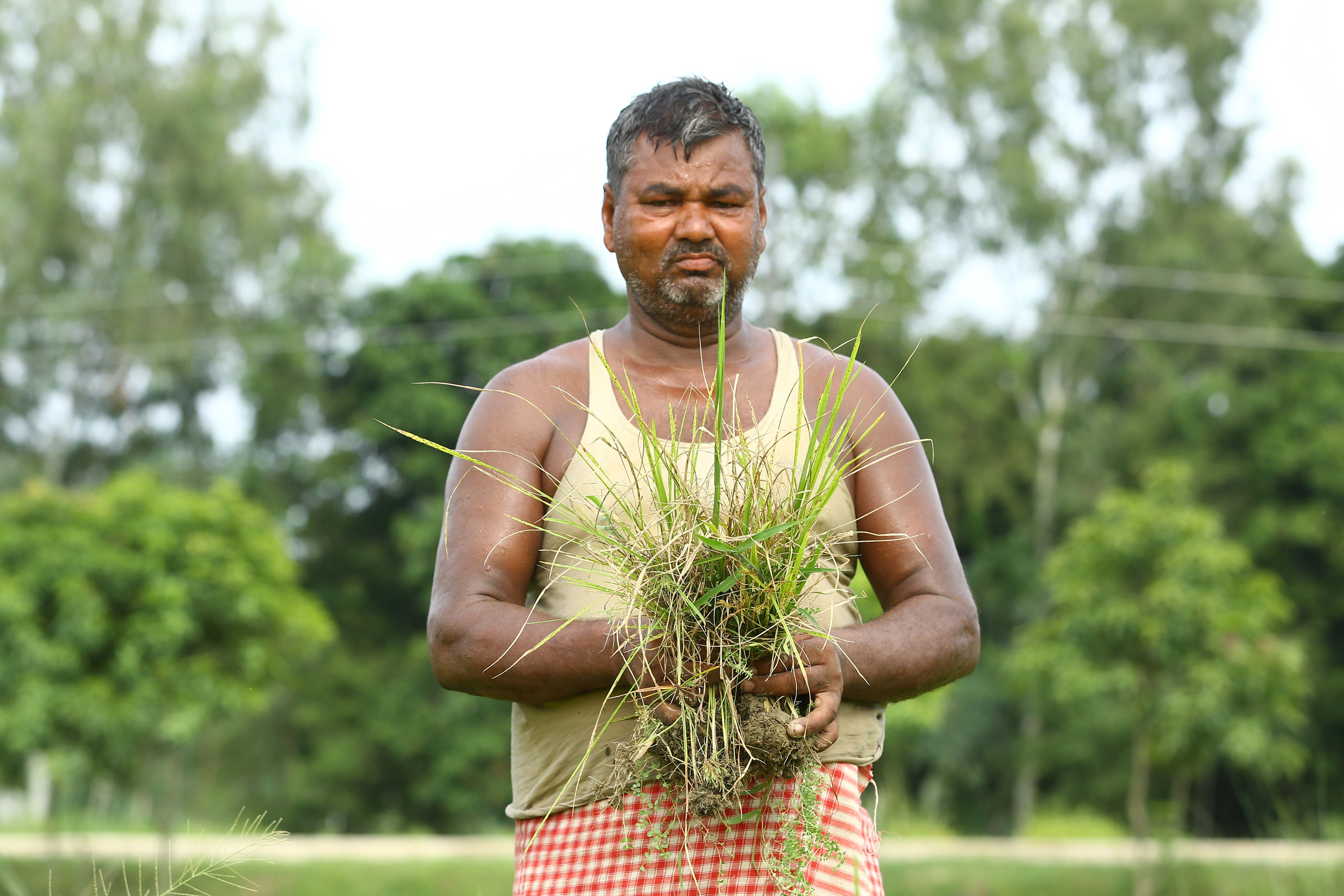 Madhesh-Pradesh_-(3)-1753419934.jpg
