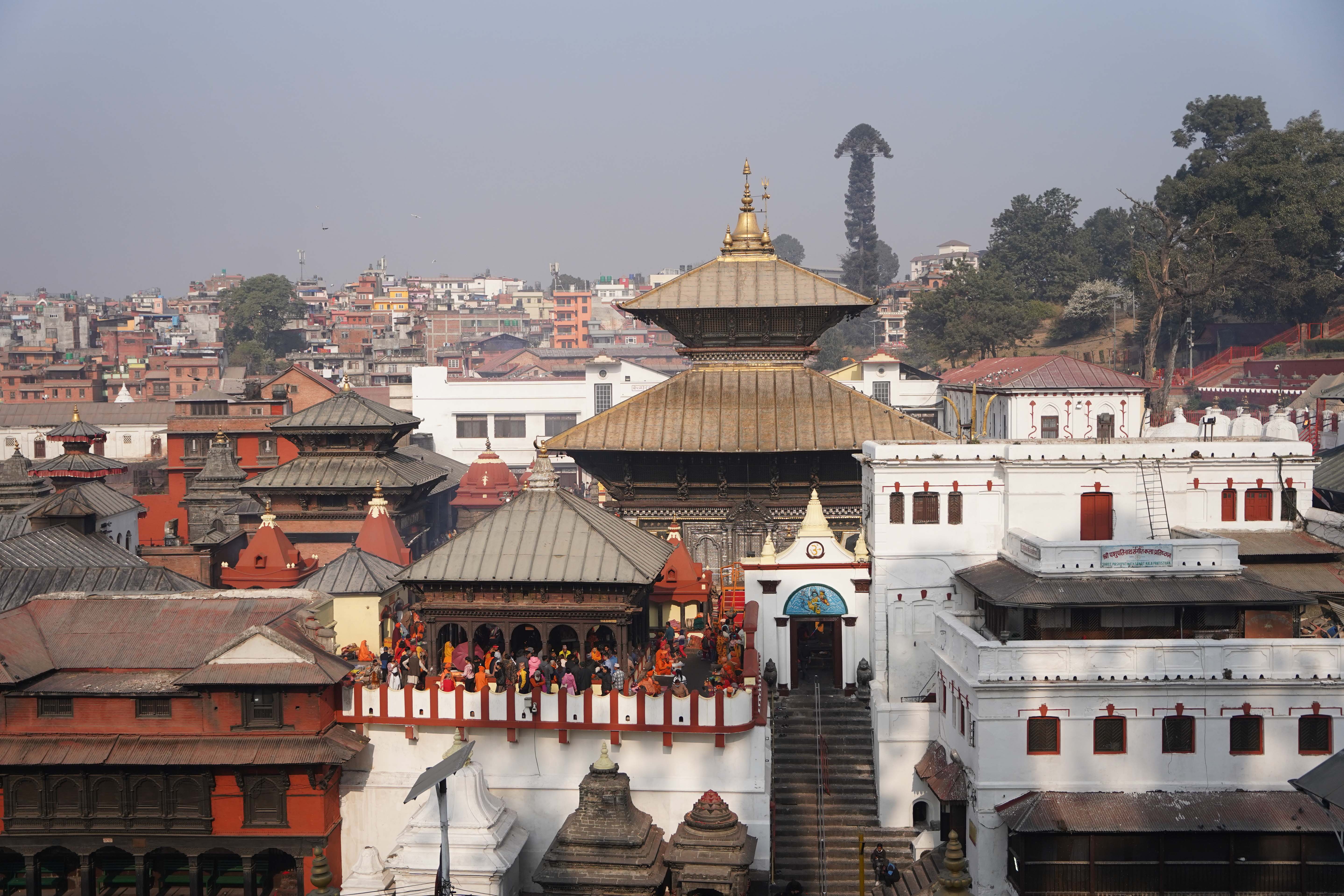 Mahashivaratri,-Pasupatinath.-366-1740461272.jpg