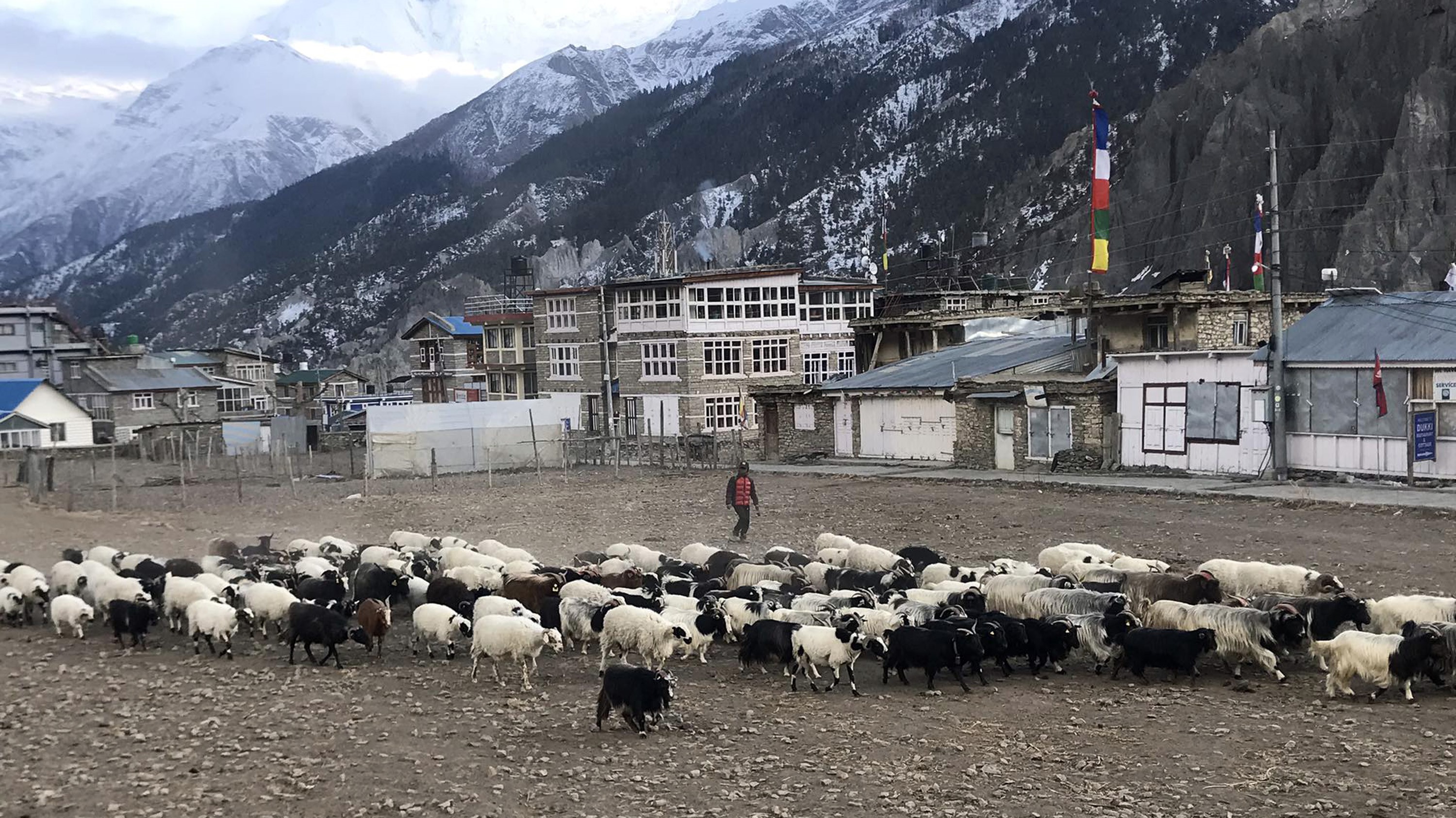 NL_Manang_2830172430474818-1708668070.jpg