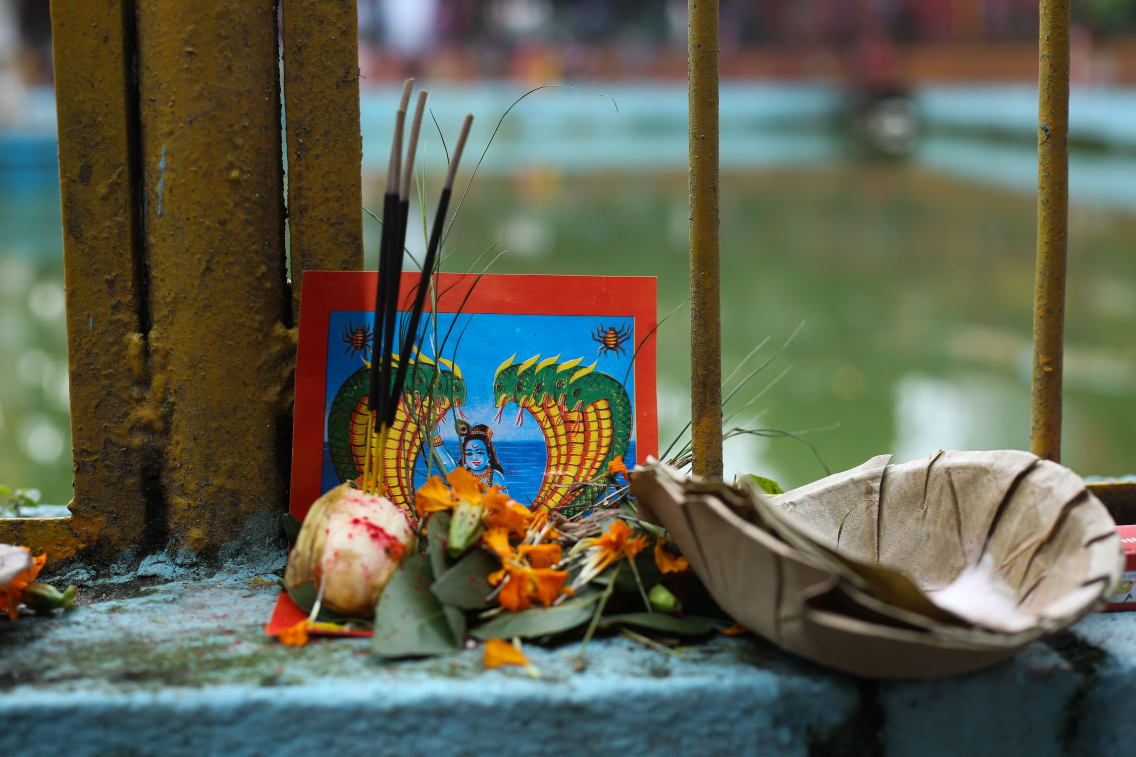 Naag-Panchami_Nepal-Photo-Library4-1753767225.jpg