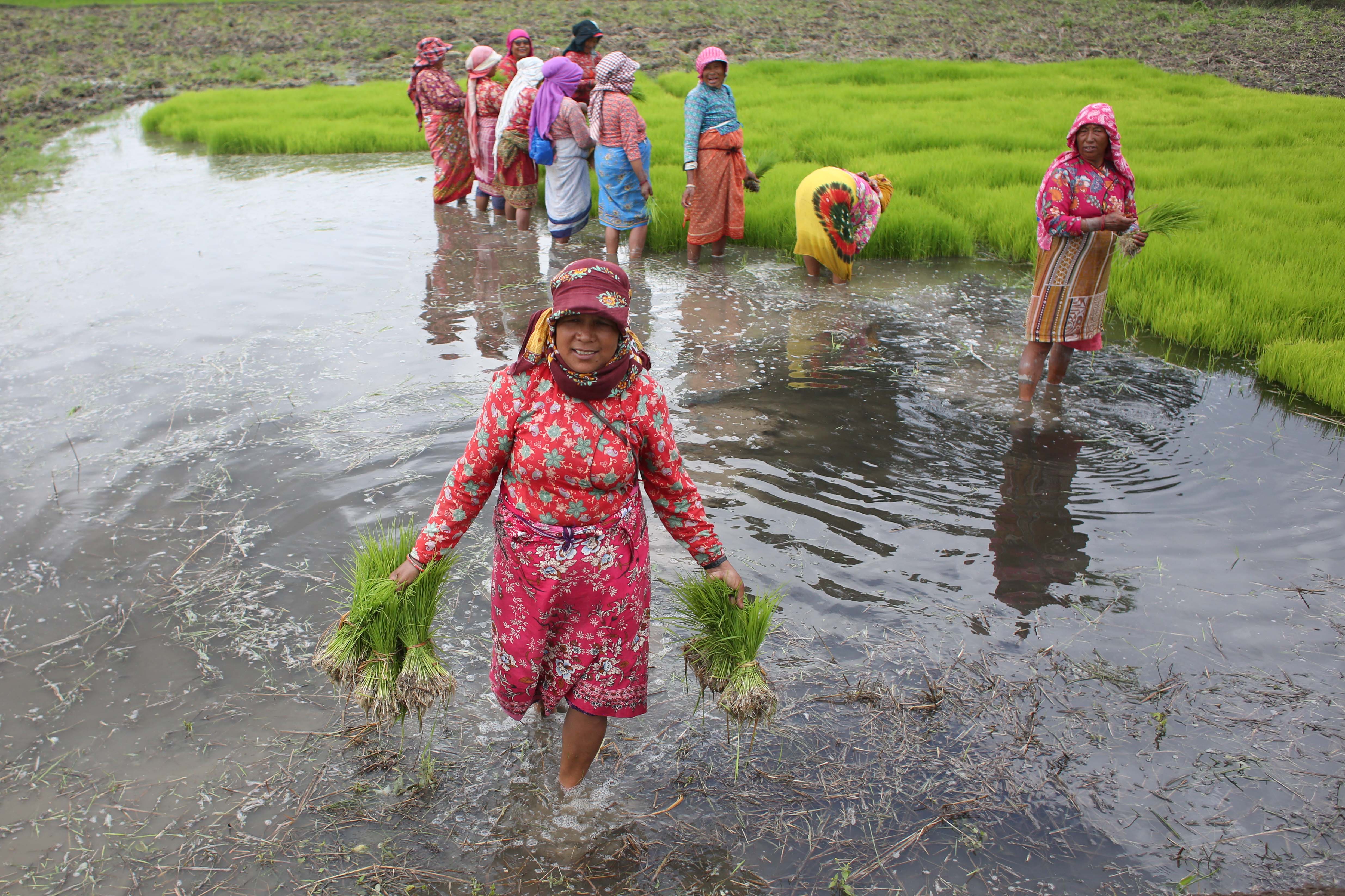 National-Paddy-Day_-547-1751172433.jpg